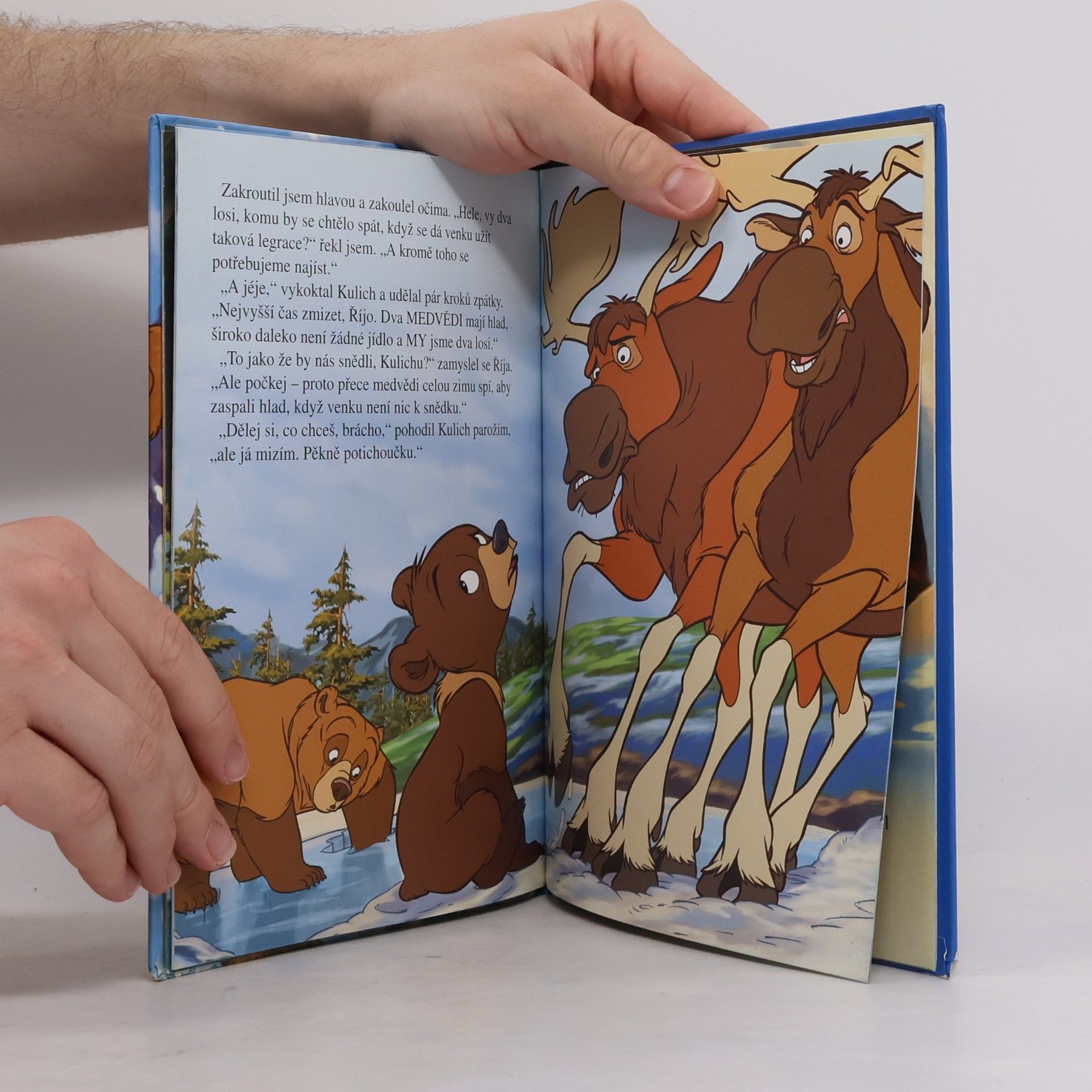 Walt Disney Medvědí bratři. Zimní pohádka