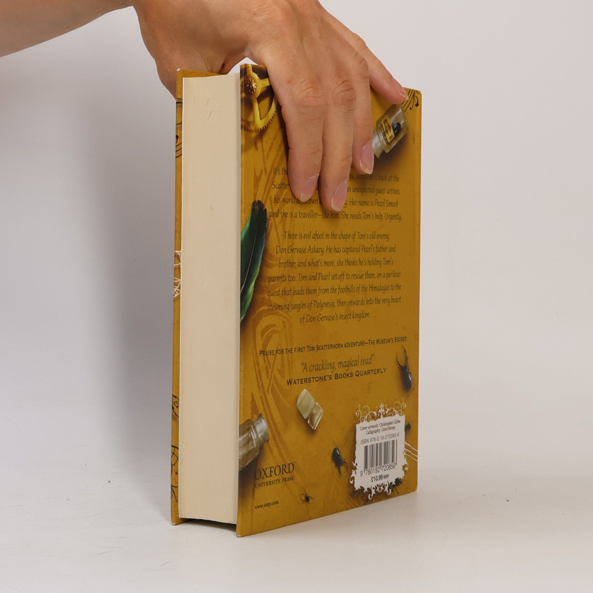 Henry Chancellor The Remarkable Adventures of Tom Scatterhorn: The Hidden World