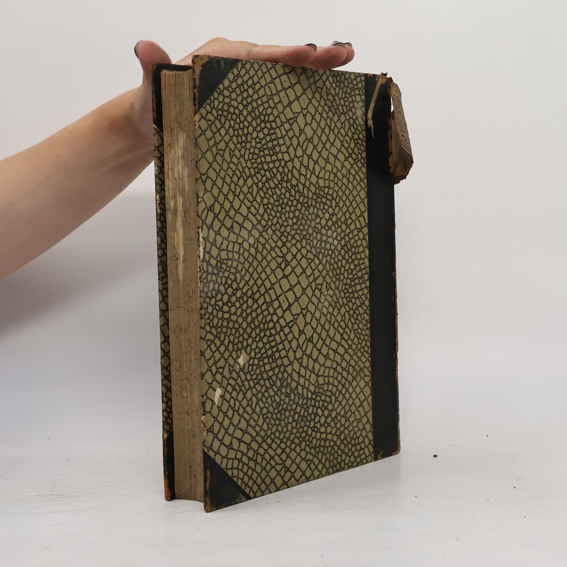 Autorenkollektiv Das Buch der Erfindungen, Gewerbe und Industrien 10