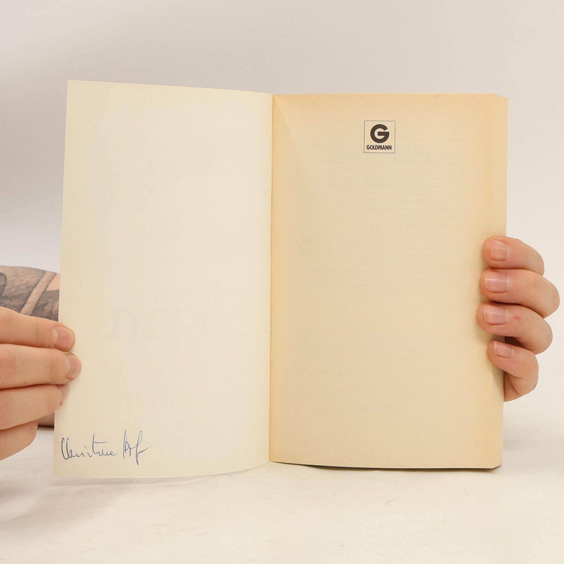 Françoise Sagan Stehendes Gewitter