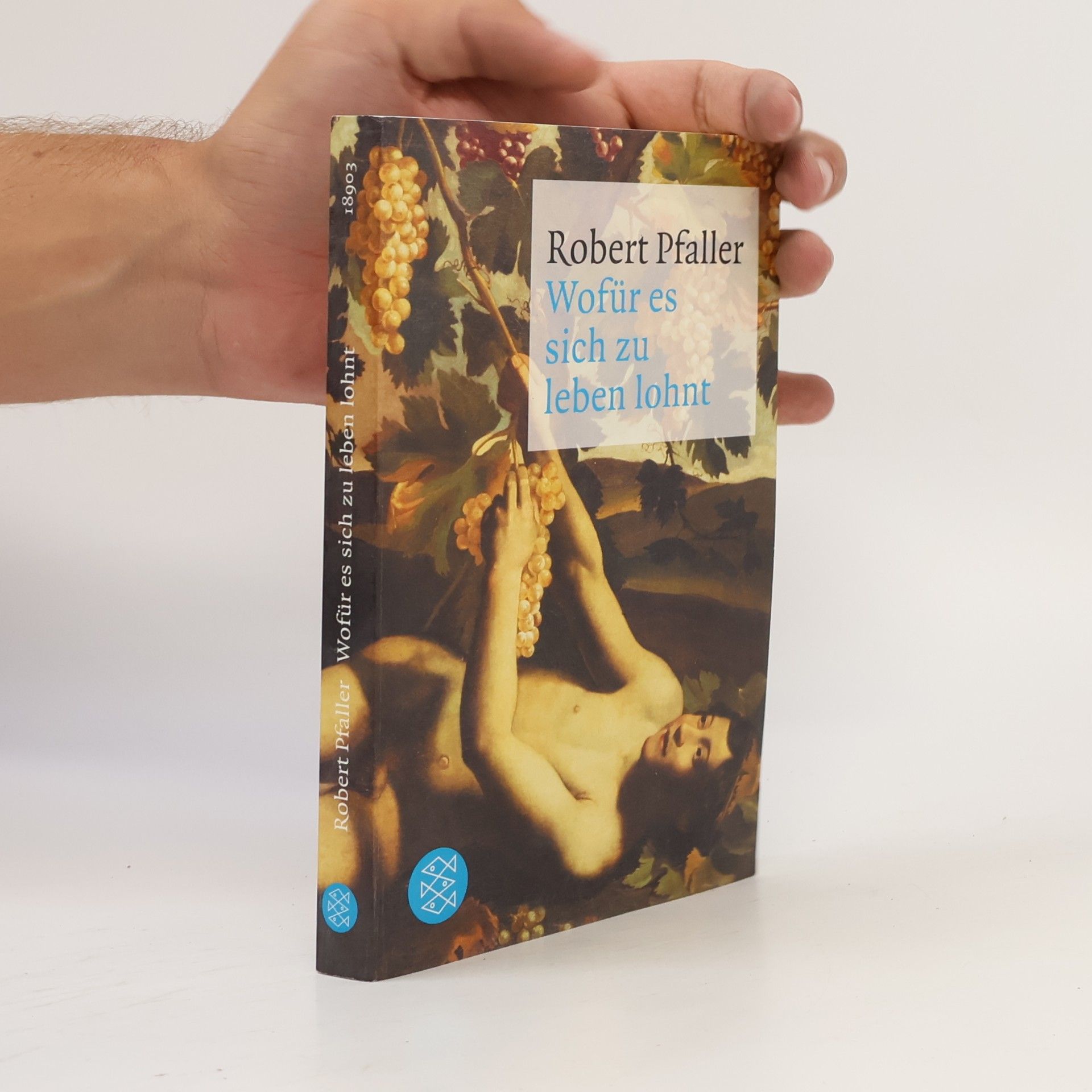 Robert Pfaller Wofür es sich zu leben lohnt