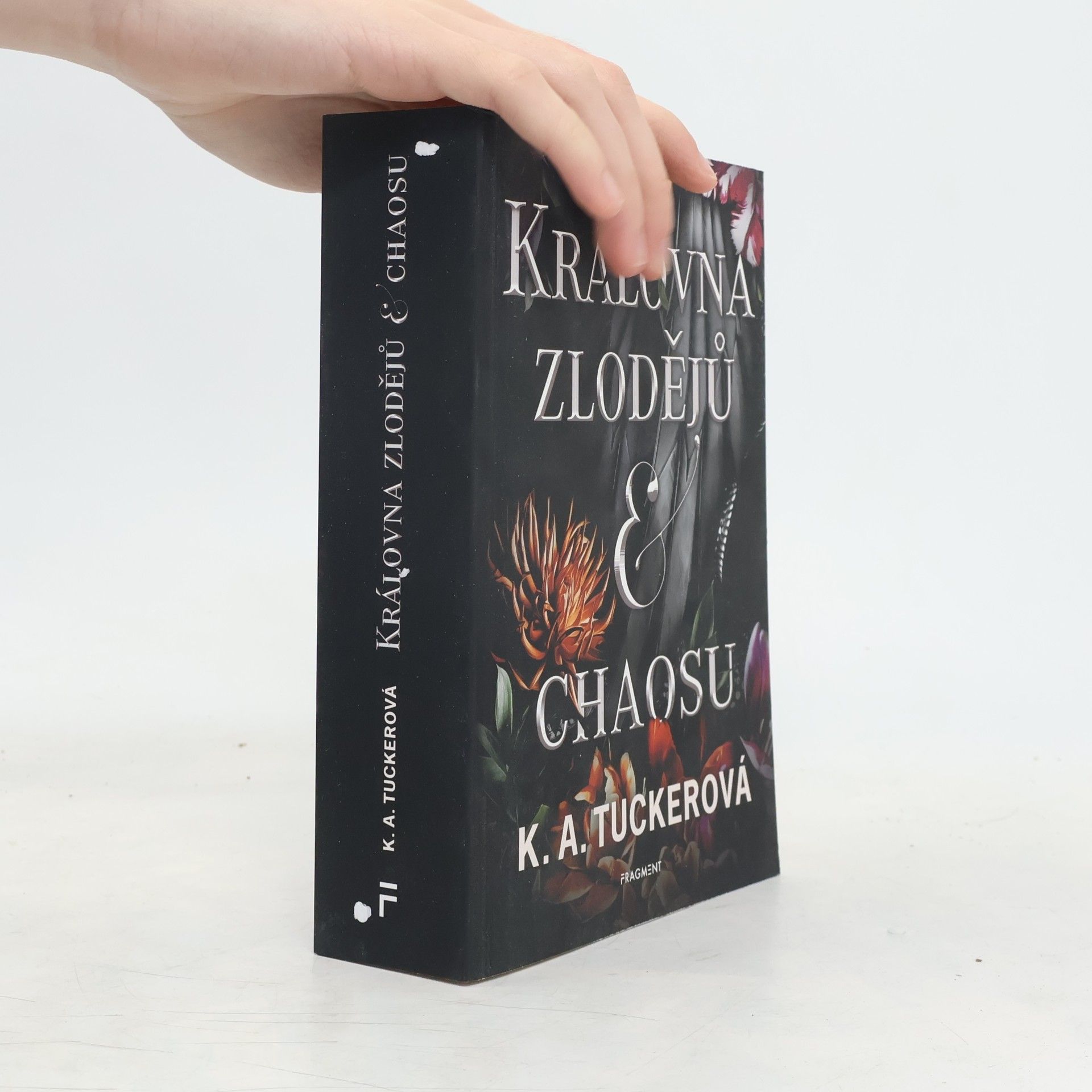 K. A. Tuckerová Královna zlodějů & chaosu