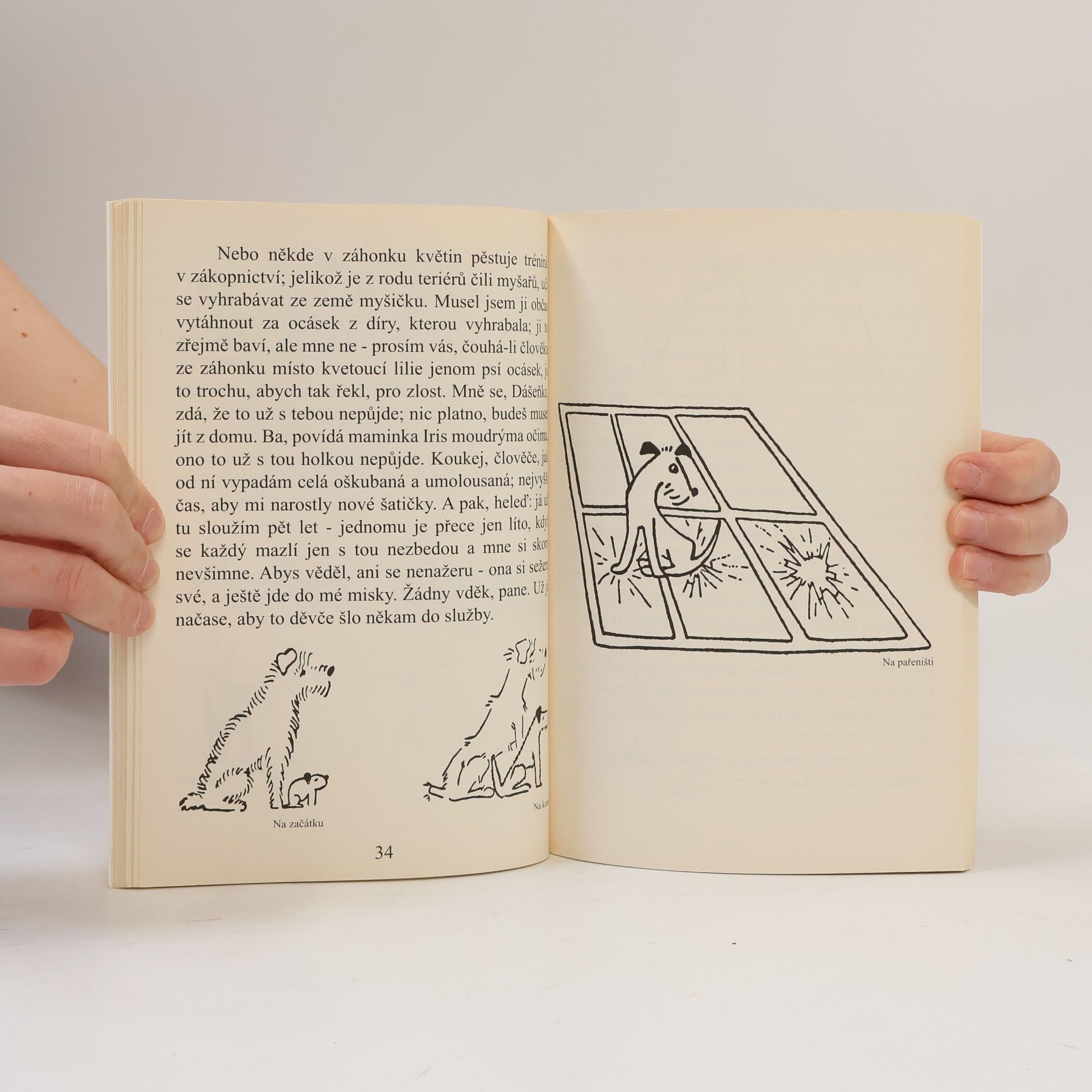 Karel Čapek Dášeňka čili život štěněte