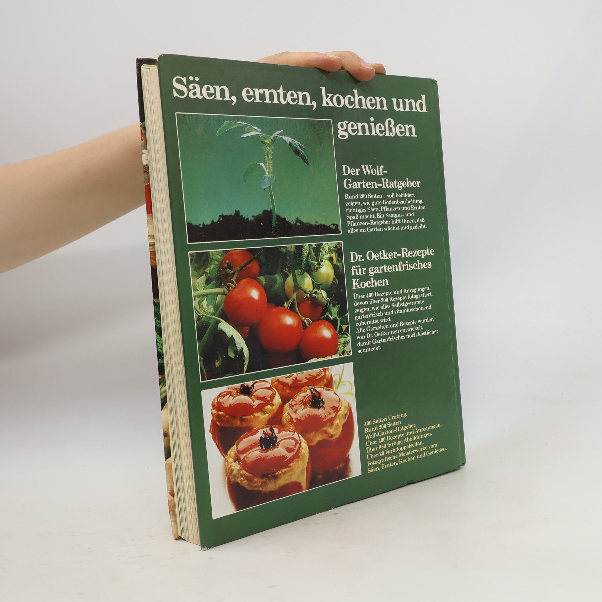 Autorenkollektiv Garten frische Küche