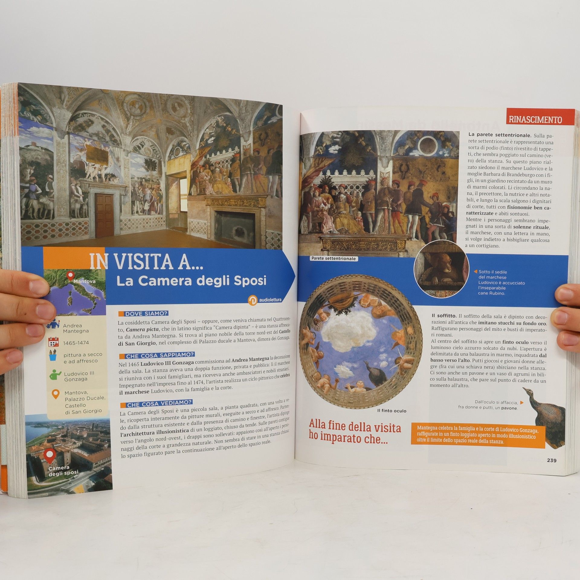Elena Capretti Vie dell'arte - B: Vie dell'arte. Per la scuola media. Con e-book. Con espansione online. Dalla preistoria a oggi