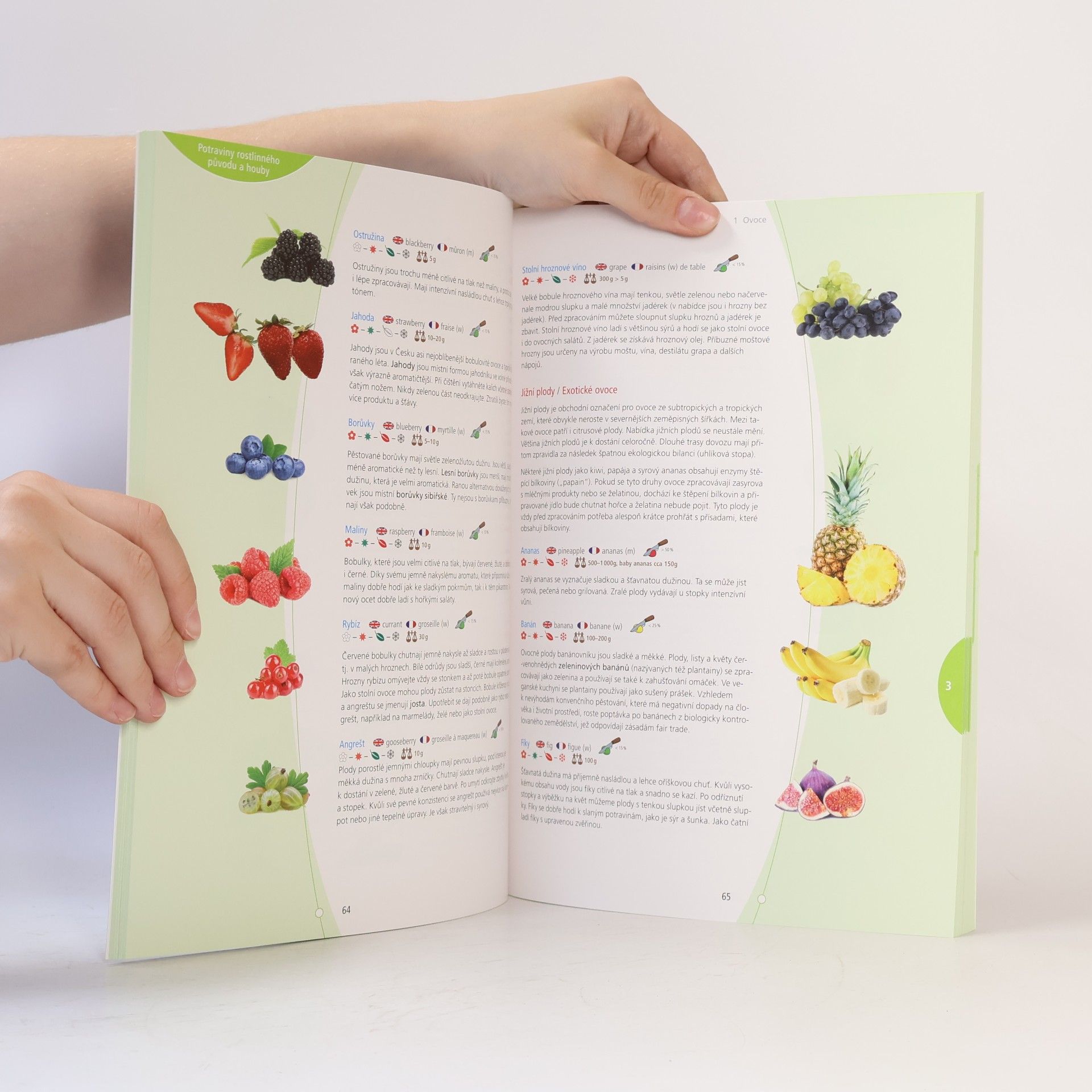 Kolektiv autorů Pohostinství & gastronomie 1
