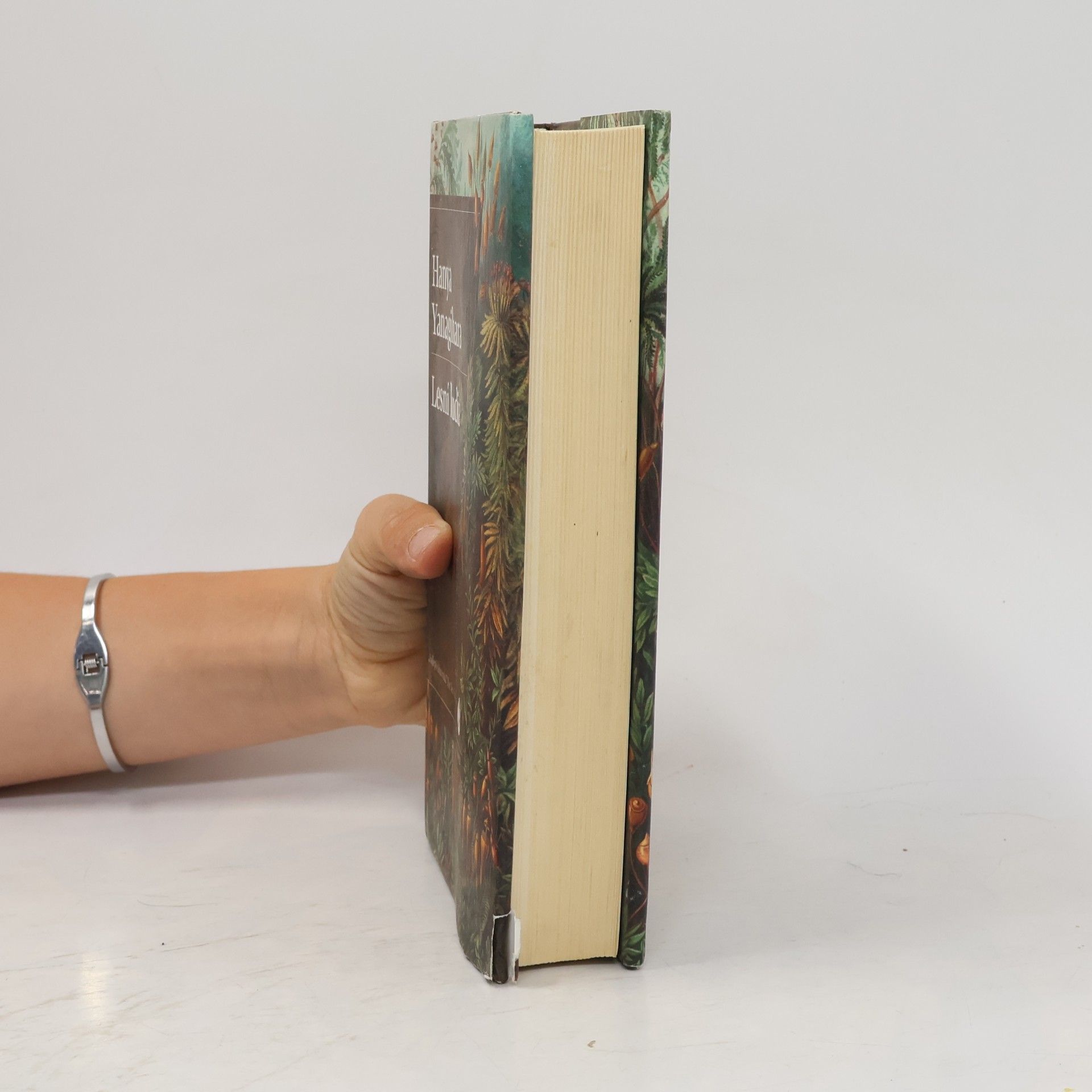 Hanya Yanagihara Lesní ľudia