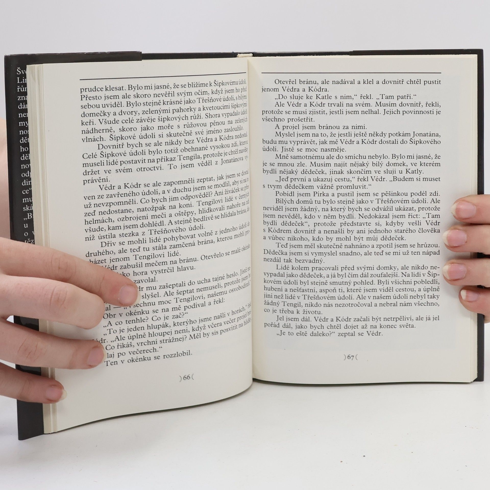 Astrid Lindgrenová Bratři Lví srdce