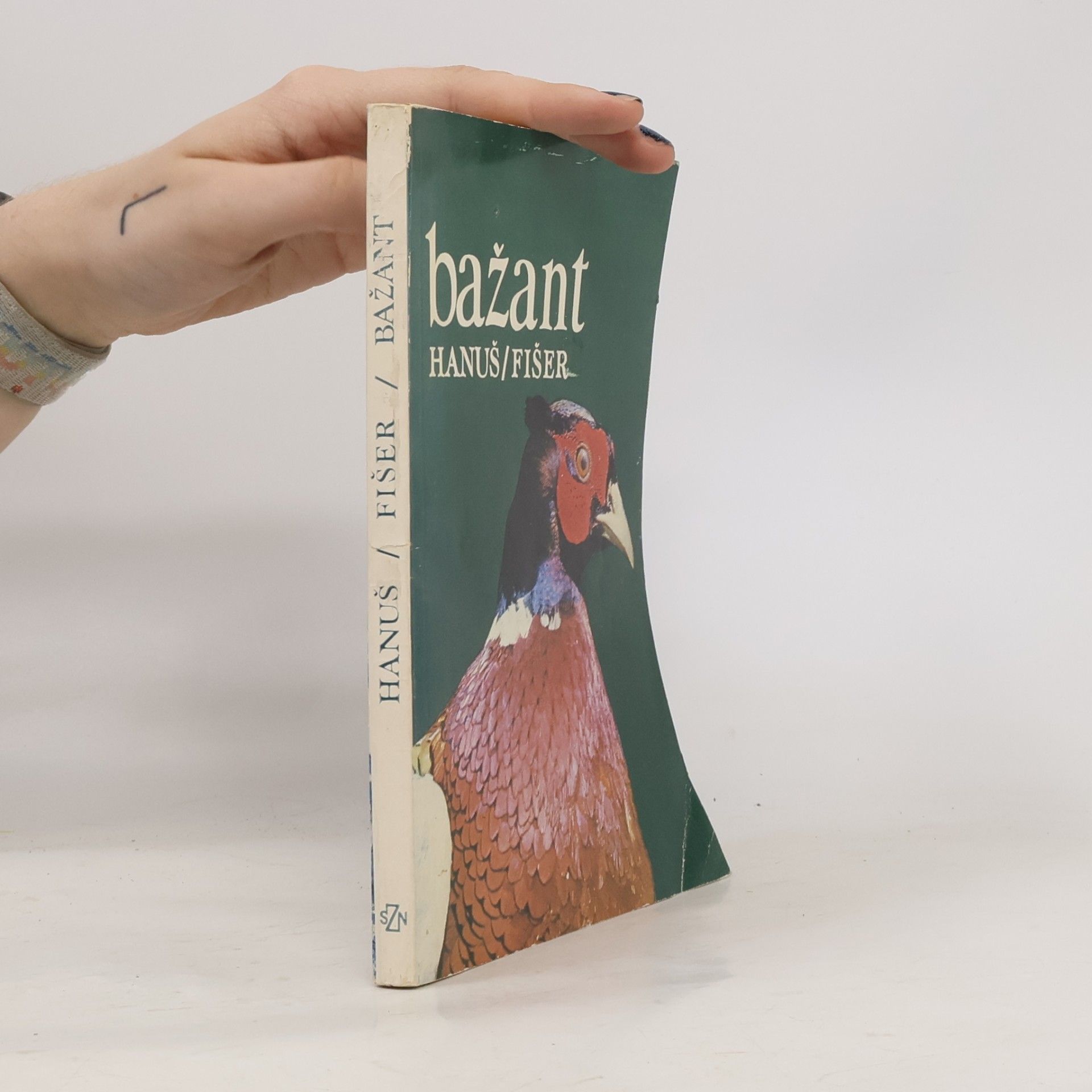 Bažant