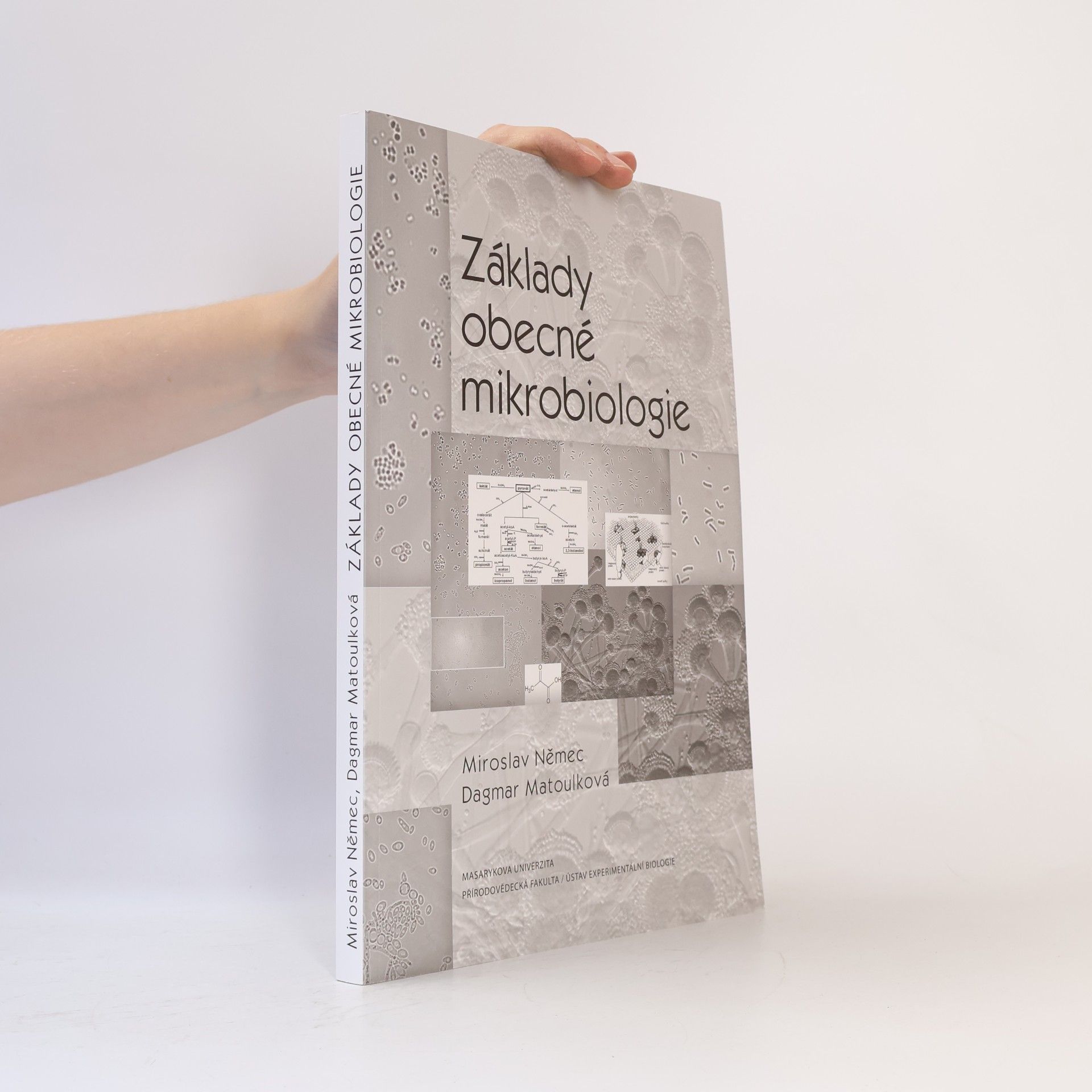 Základy obecné mikrobiologie