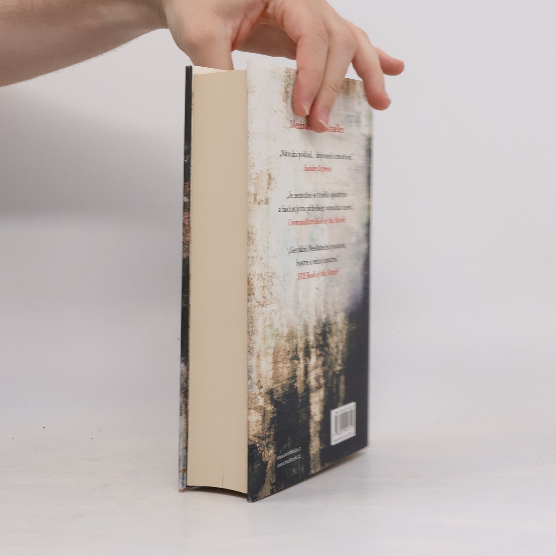 Jodi Picoult Nejsem jako vy