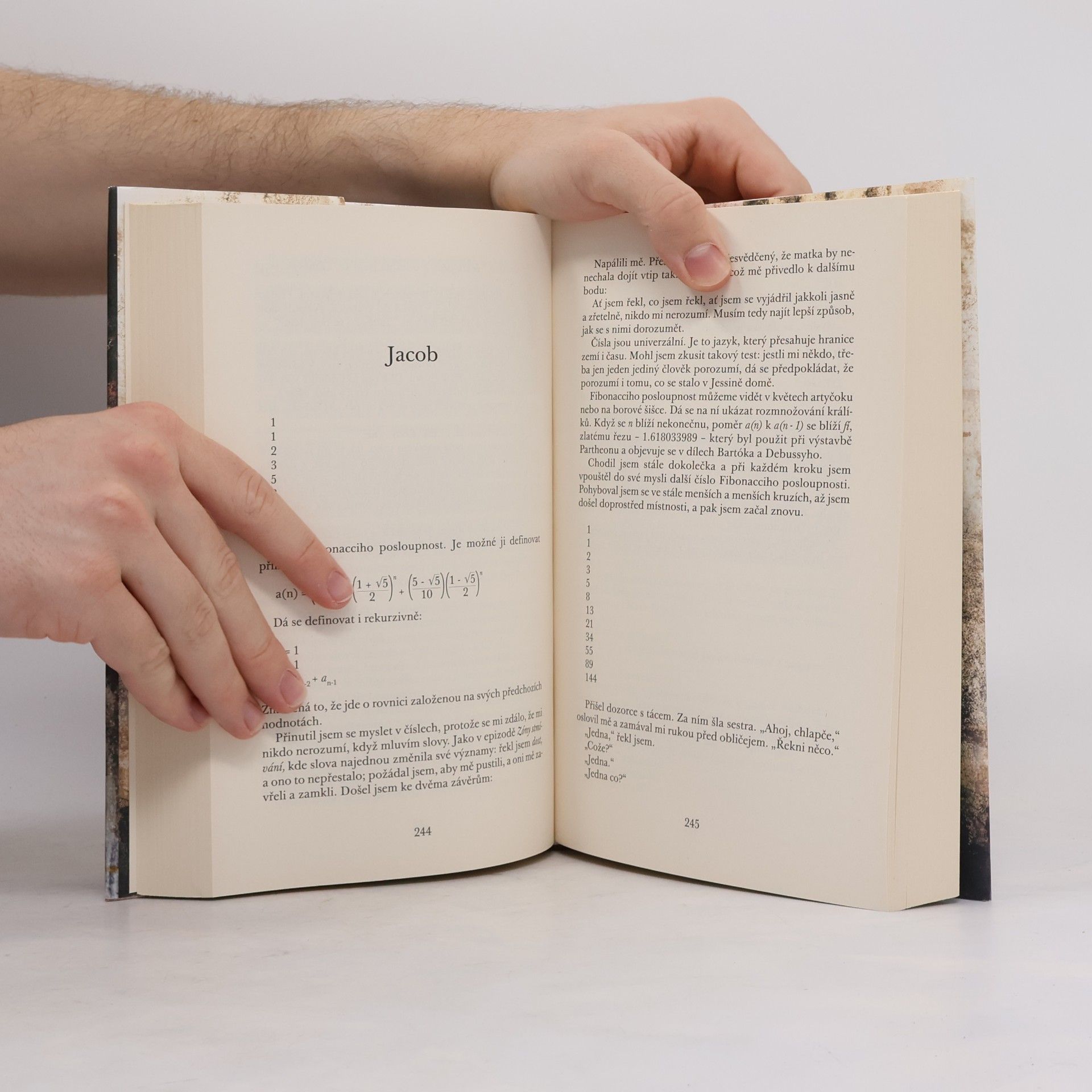 Jodi Picoult Nejsem jako vy
