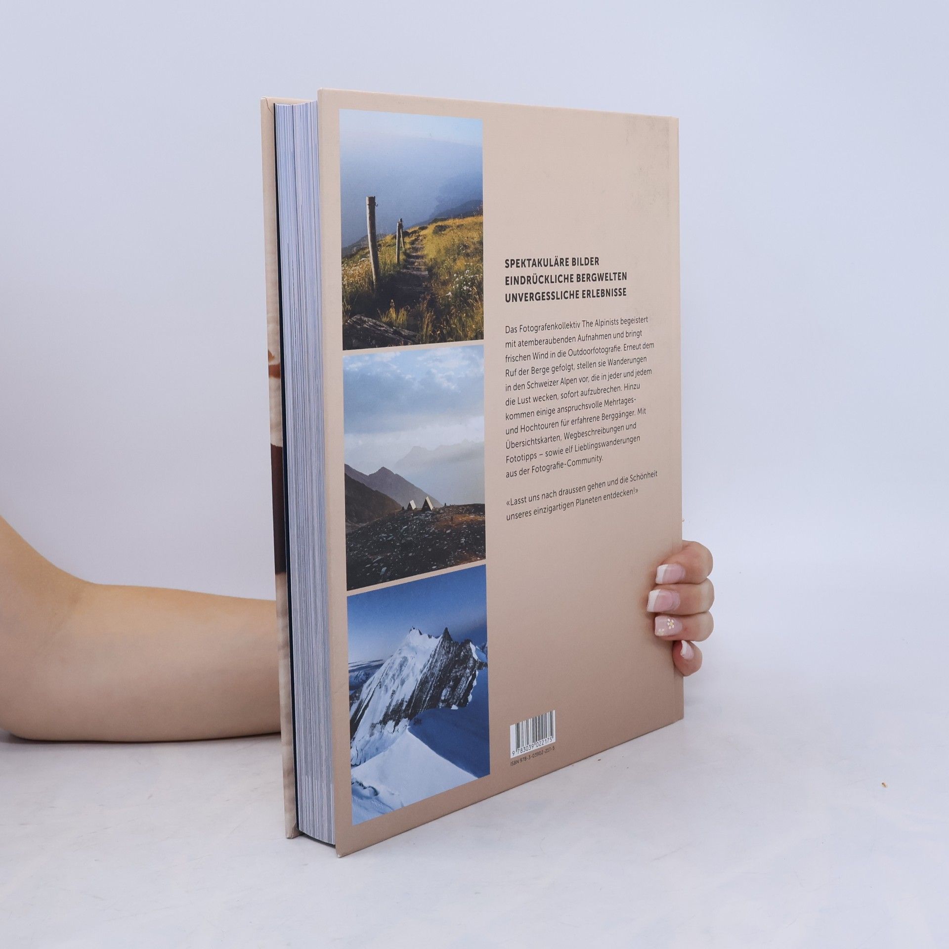The The Alpinists Lost In the Alps 2