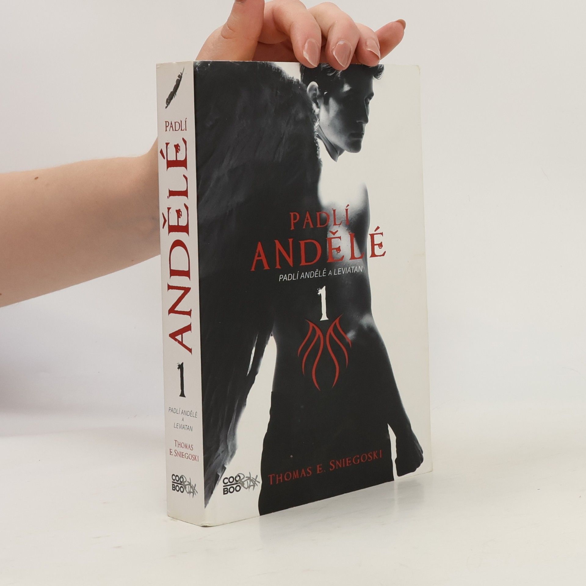 Thomas E. Sniegoski Padlí andělé a Leviatan. Padlí andělé. 1. díl