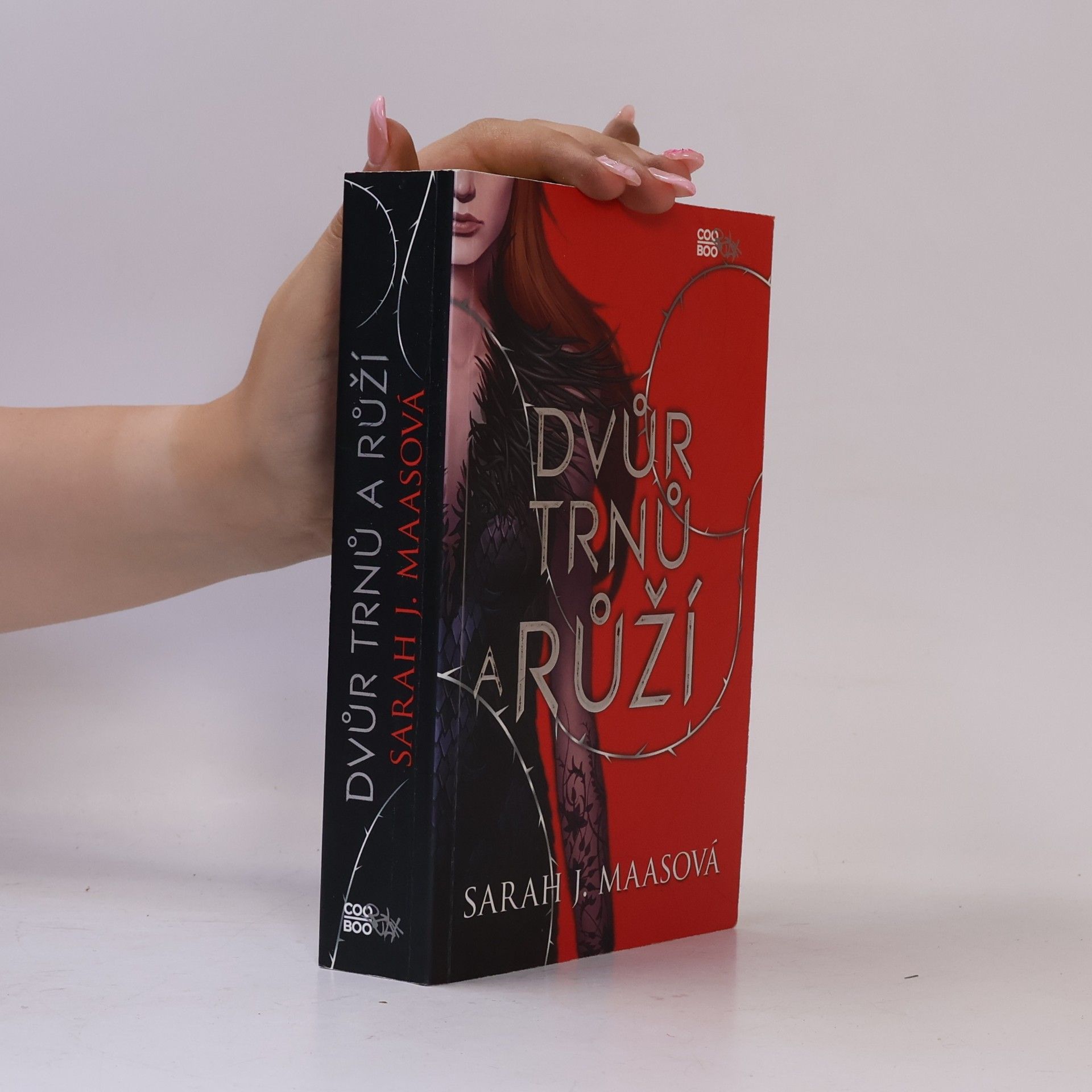 Sarah J. Maas Dvůr trnů a růží