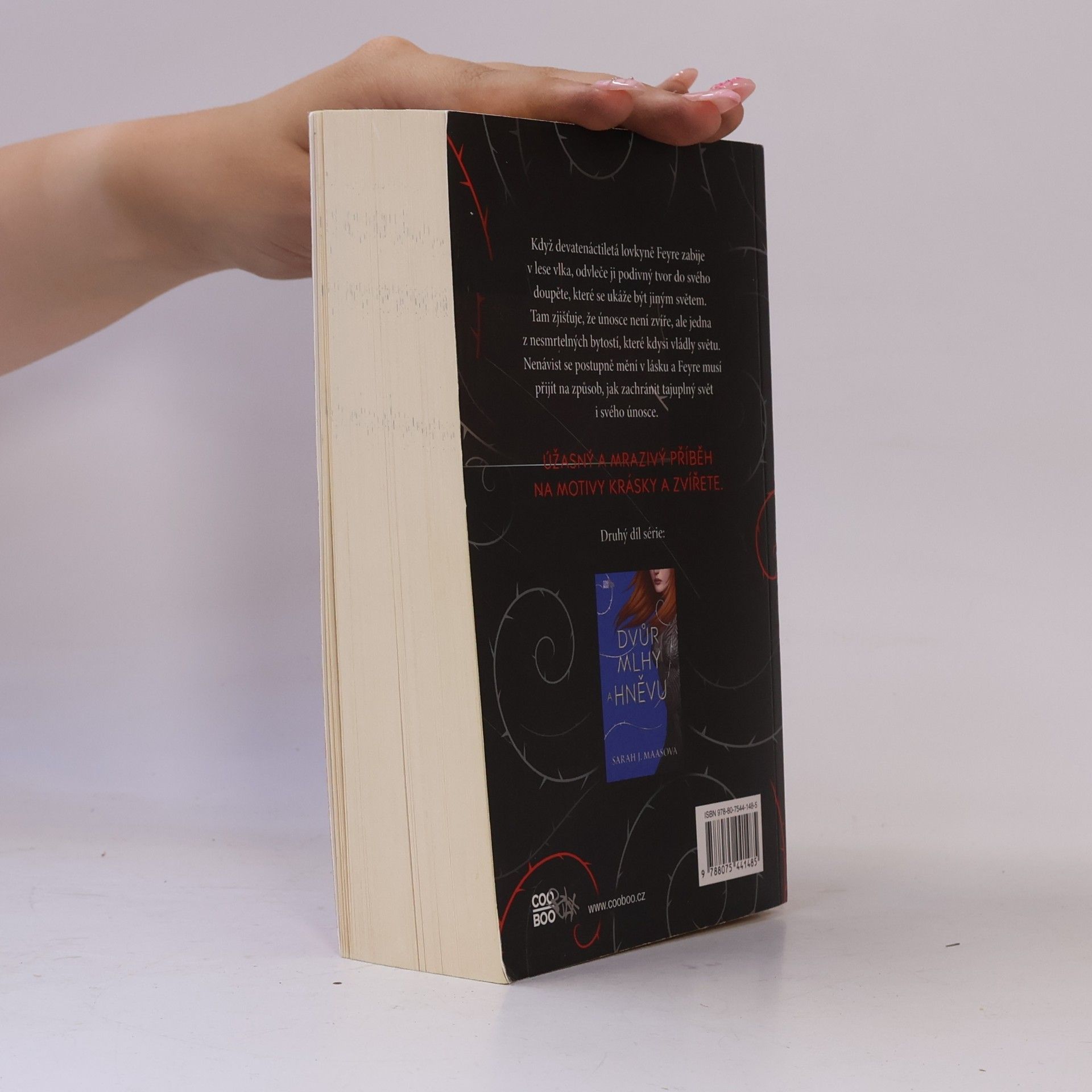 Sarah J. Maas Dvůr trnů a růží