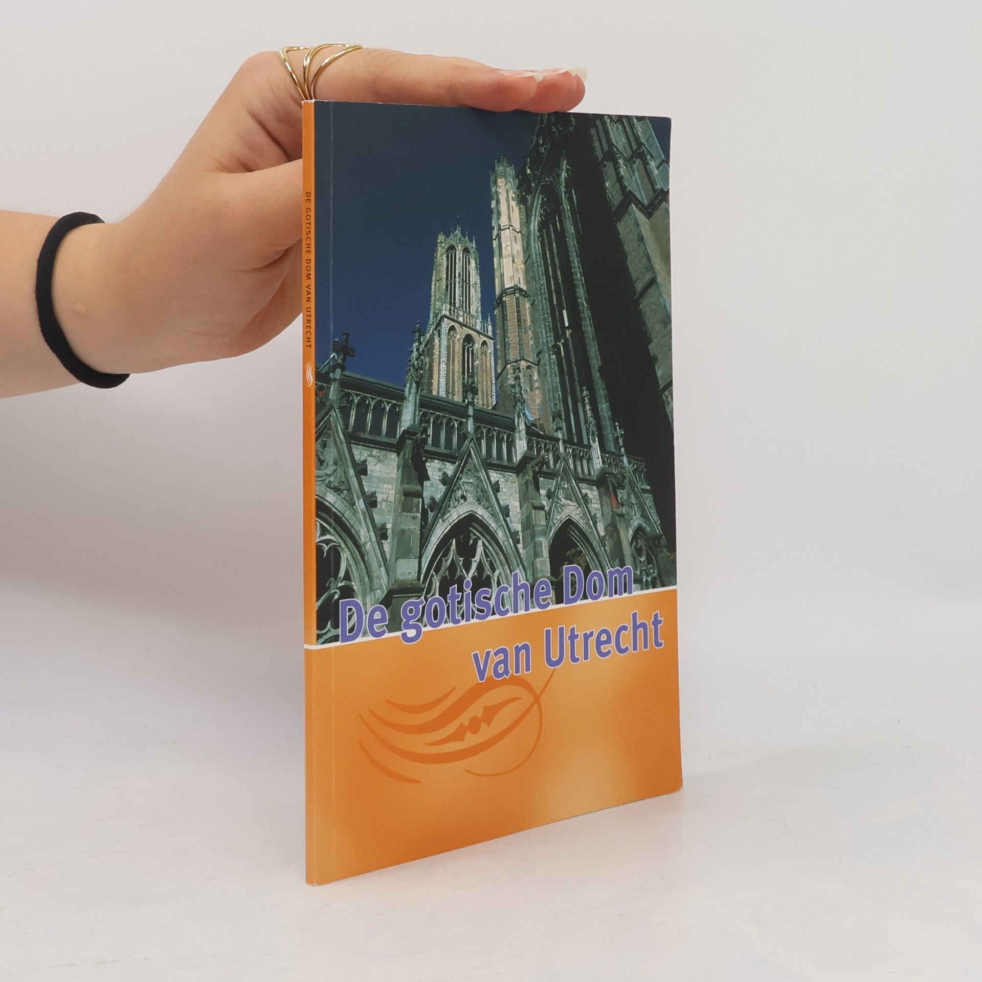 Ton H.M. van Schaik De gotische Dom van Utrecht