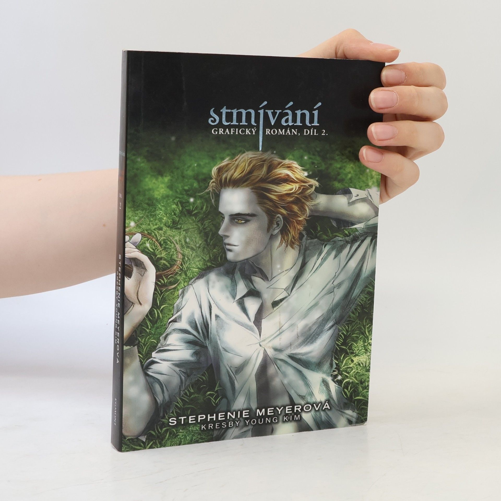 Stmívání: Grafický román 2