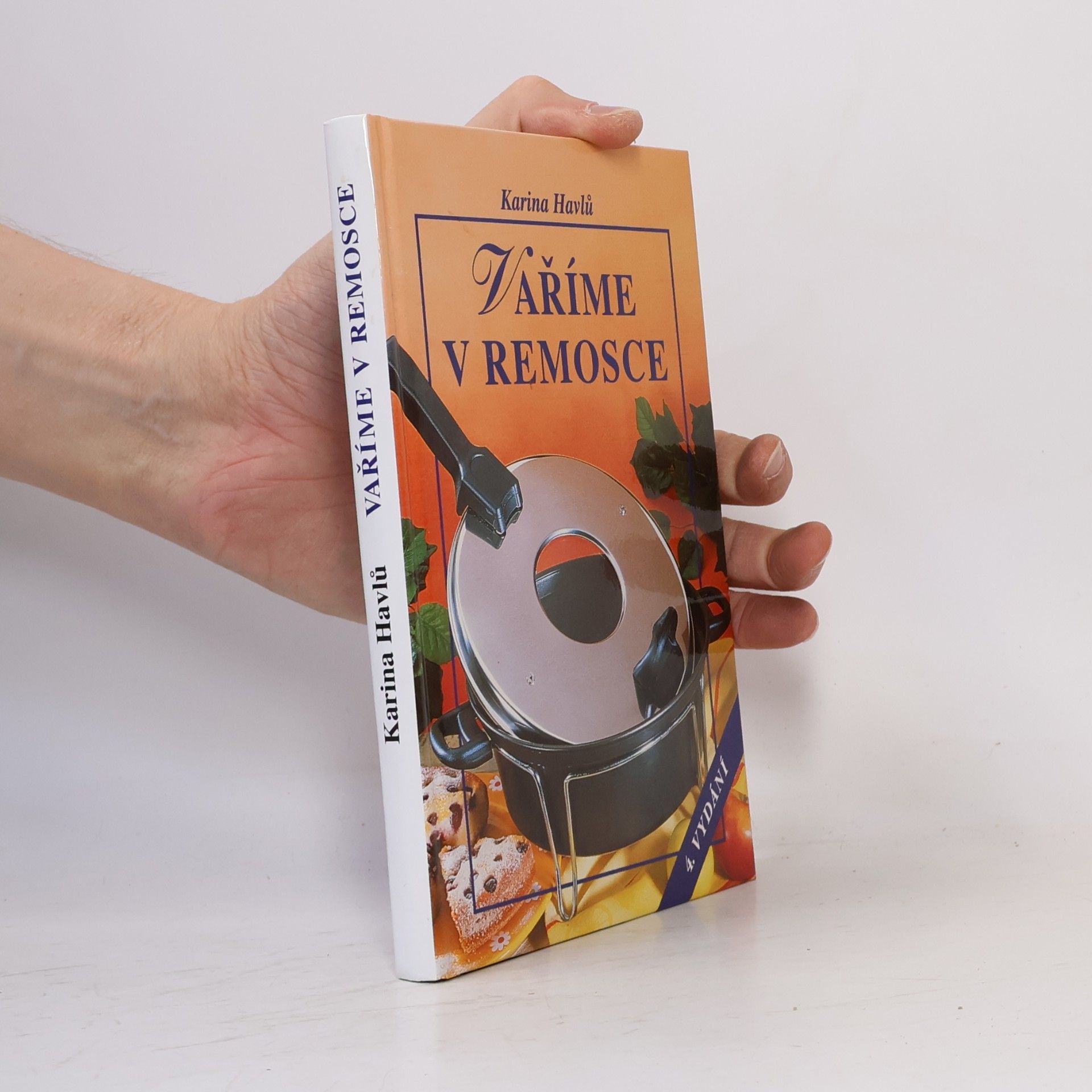 Karina Havlů Vaříme v remosce
