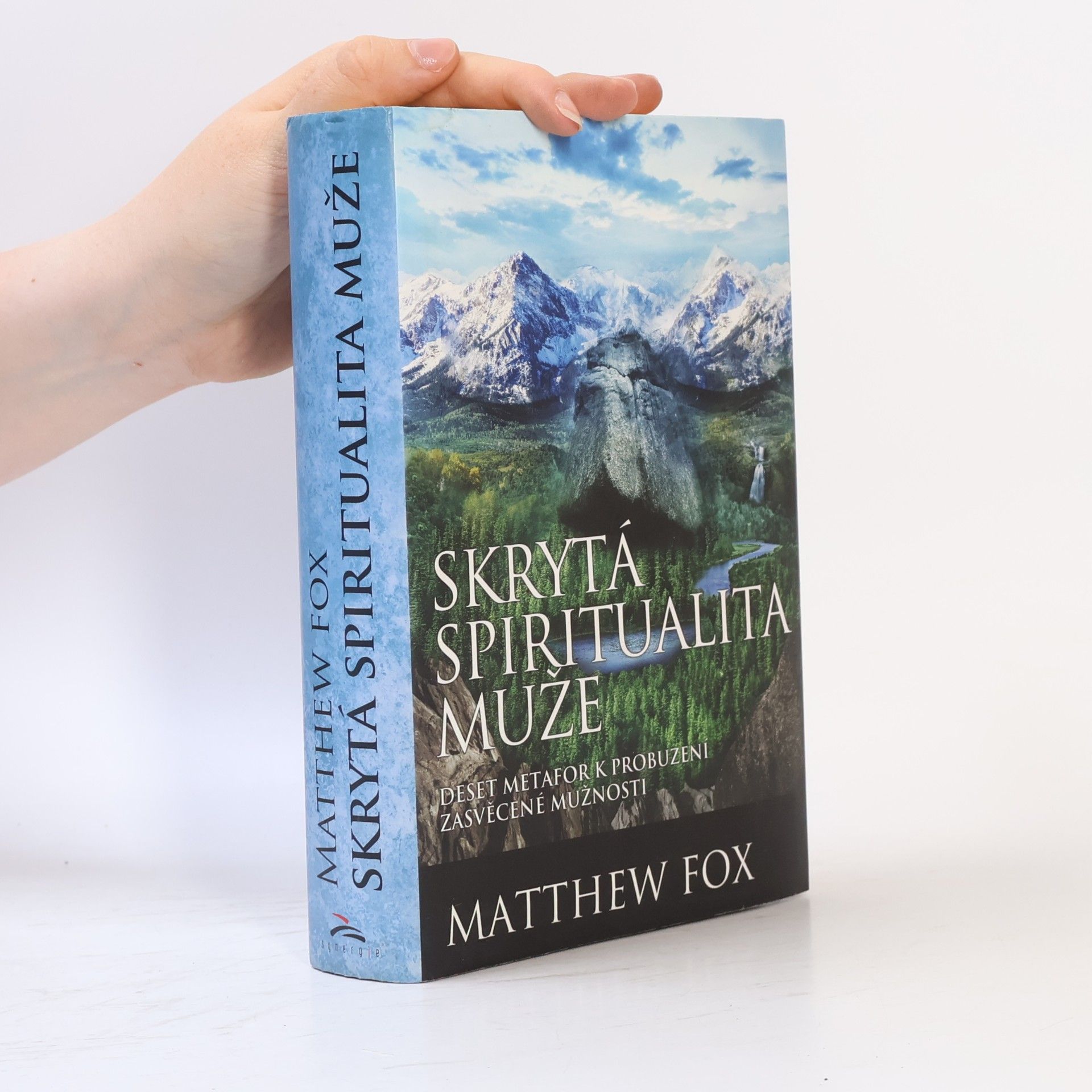 Matthew Fox Skrytá spiritualita muže