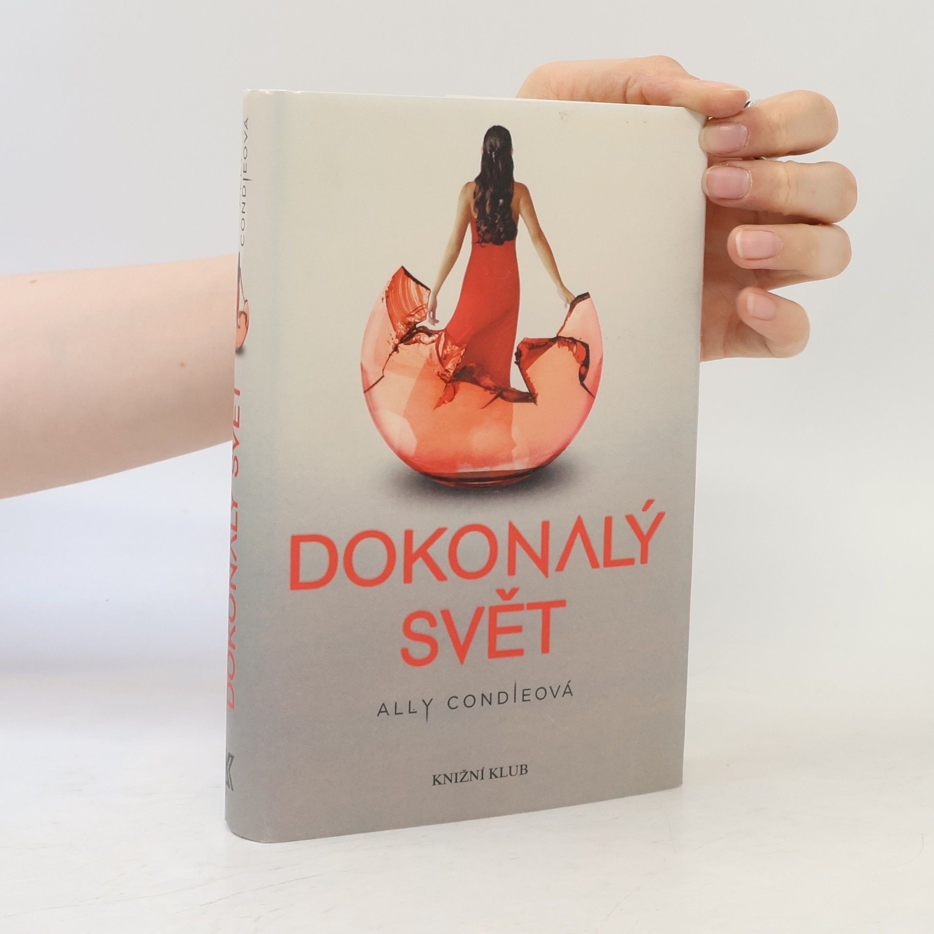 Allyson Braithwaite Condie Dokonalý svět