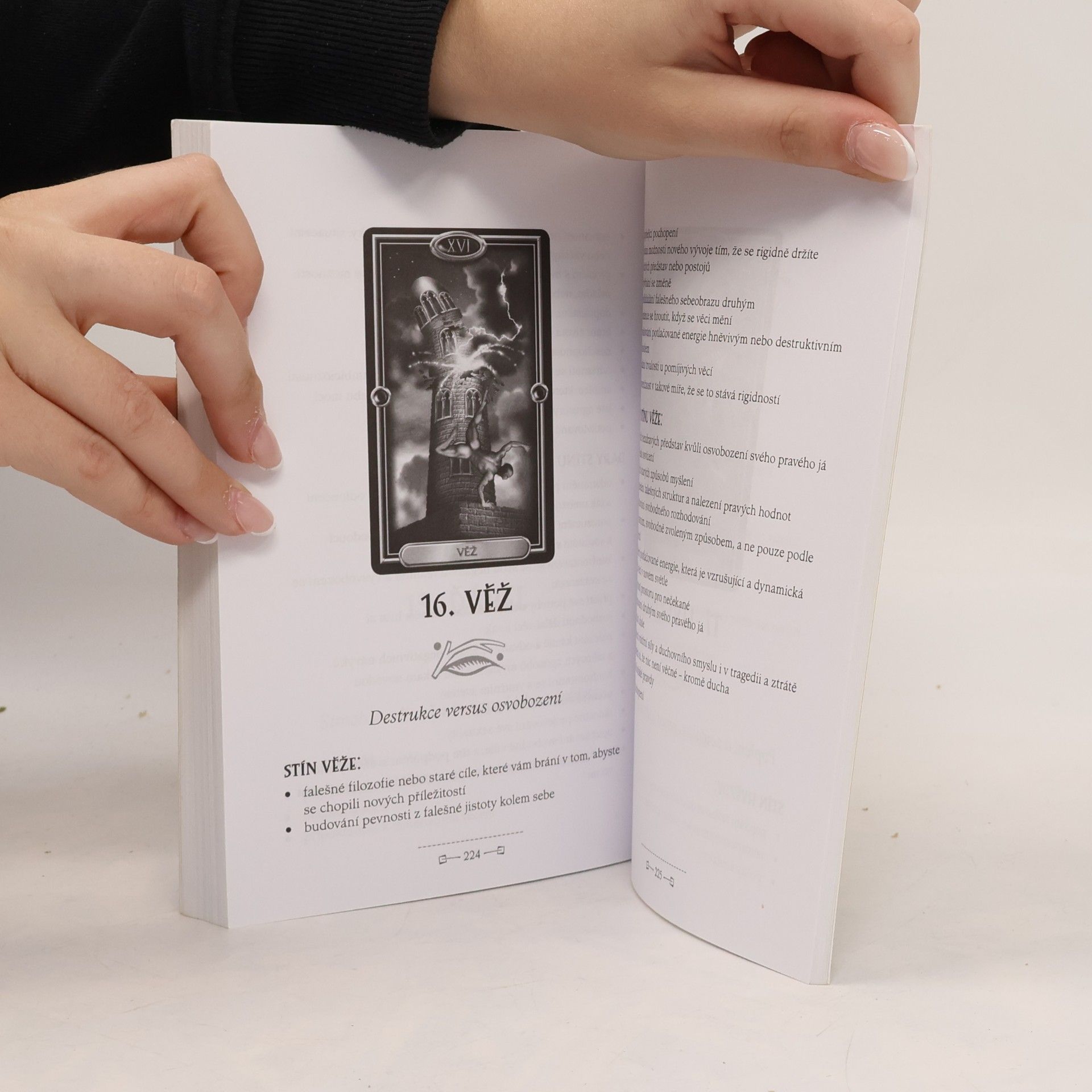 Christine Jette Tarot. Práce se stínem