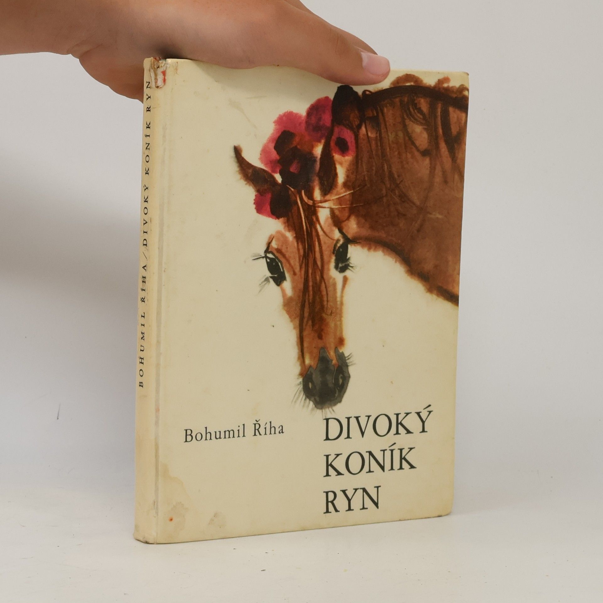 Bohumil Říha Divoký koník Ryn
