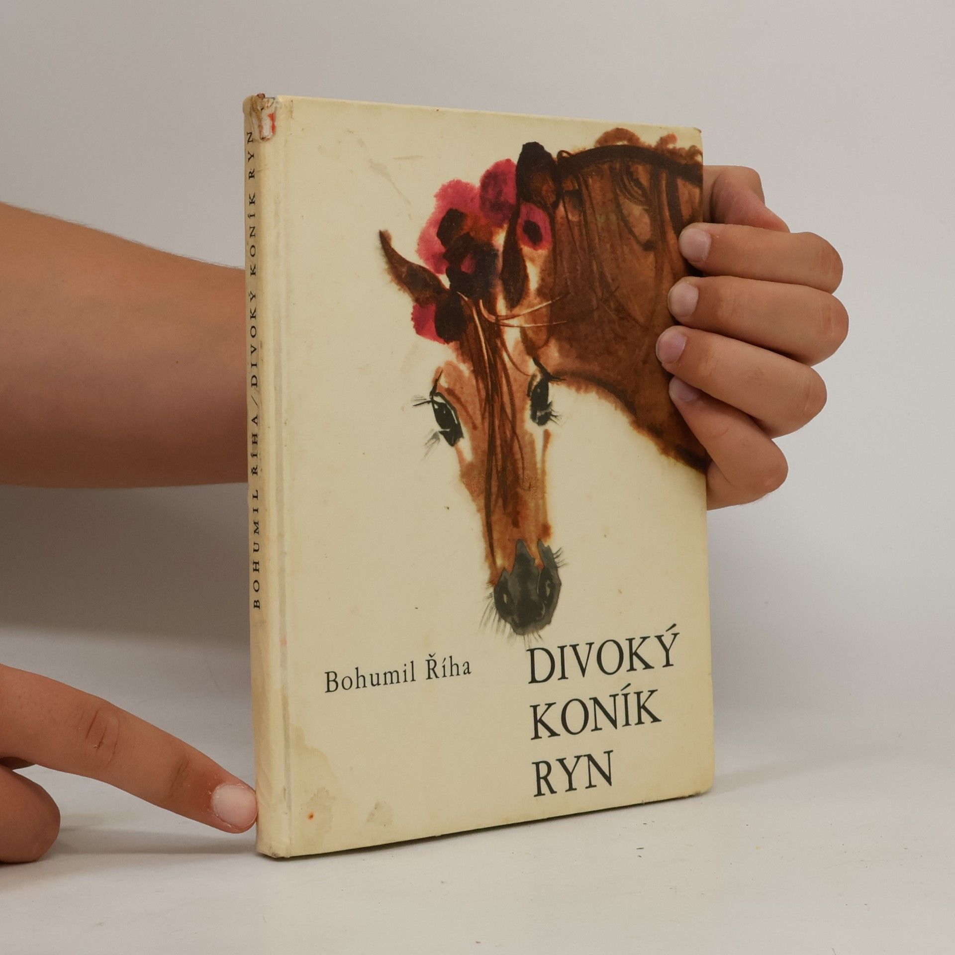 Bohumil Říha Divoký koník Ryn