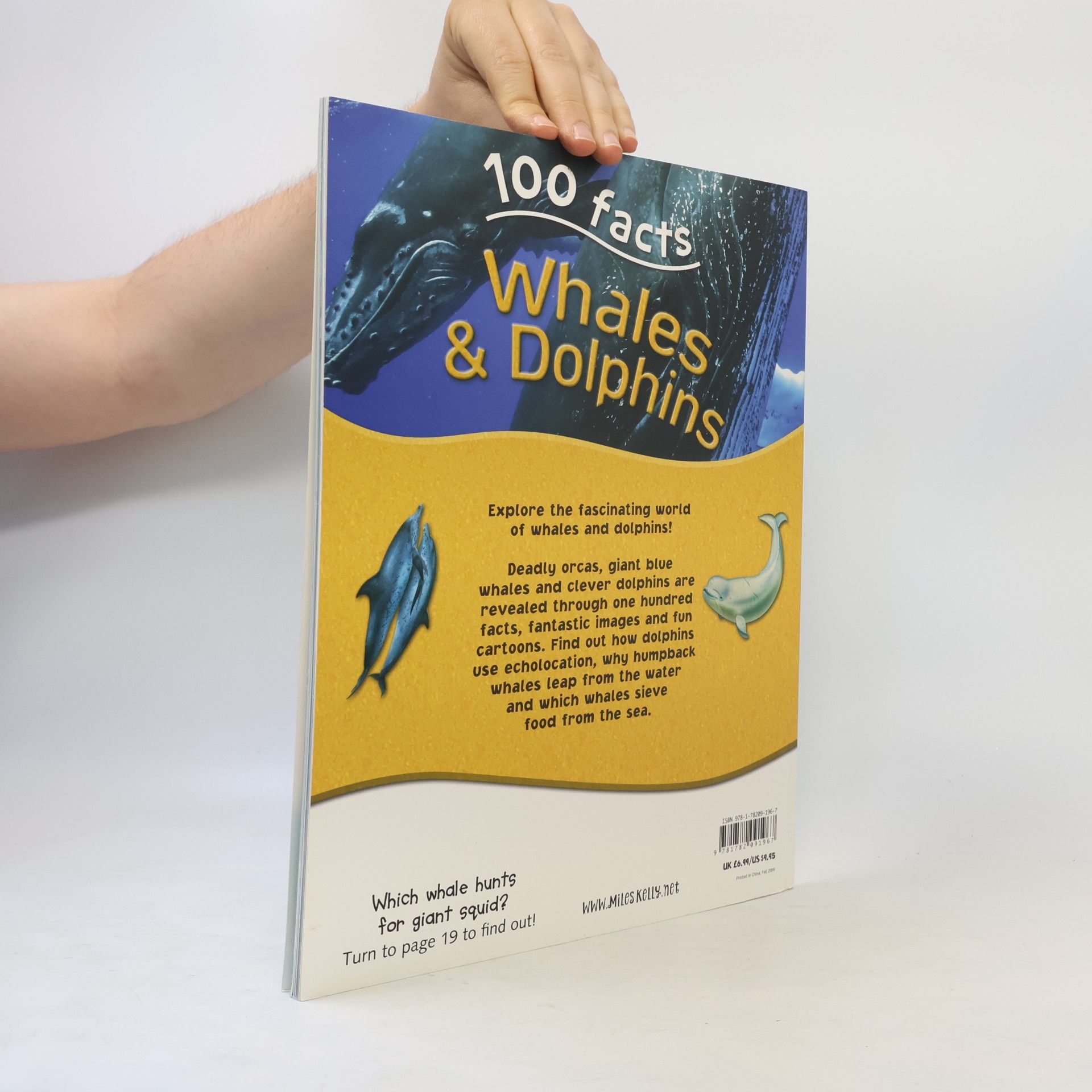 Belinda Gallagher 100 Facts - Whales & Dolphins