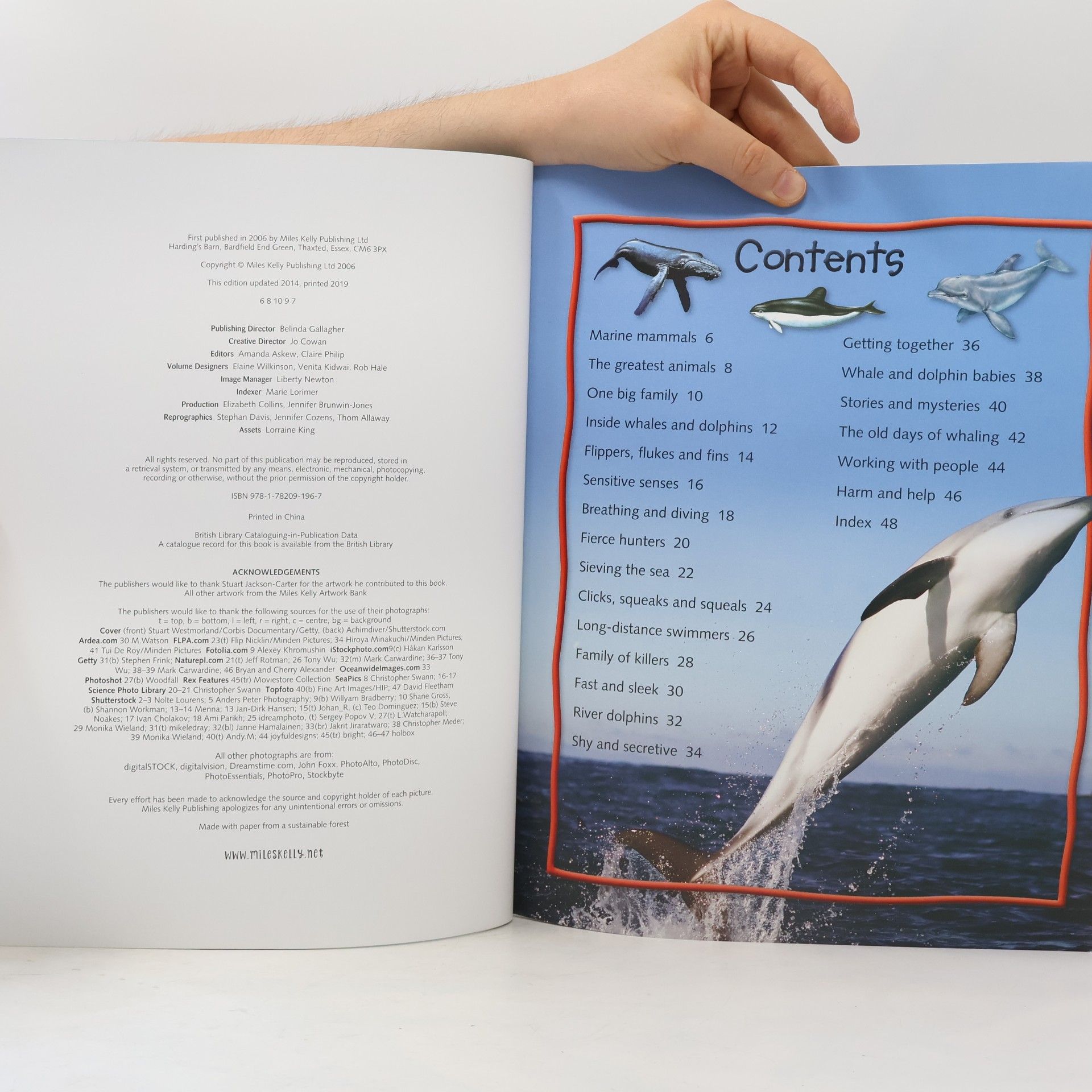 Belinda Gallagher 100 Facts - Whales & Dolphins