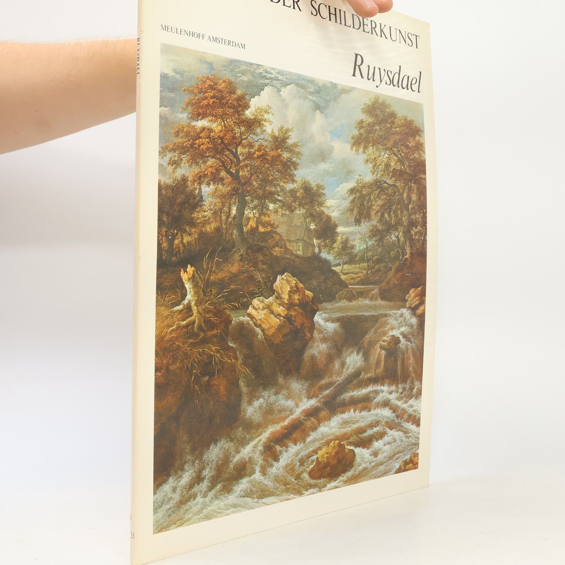 Kolektiv autorů Meeters der Schilderkunst. Ruysdael