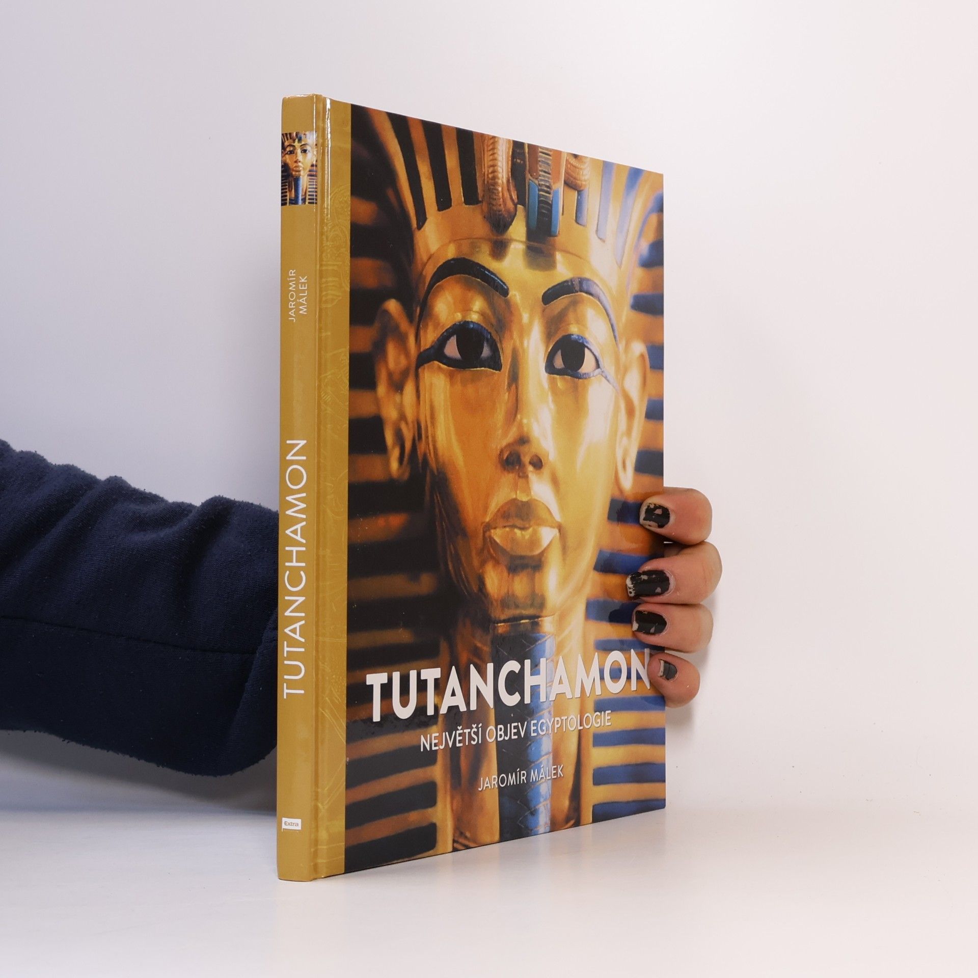 Jaromír Málek Tutanchamon : největší objev egyptologie