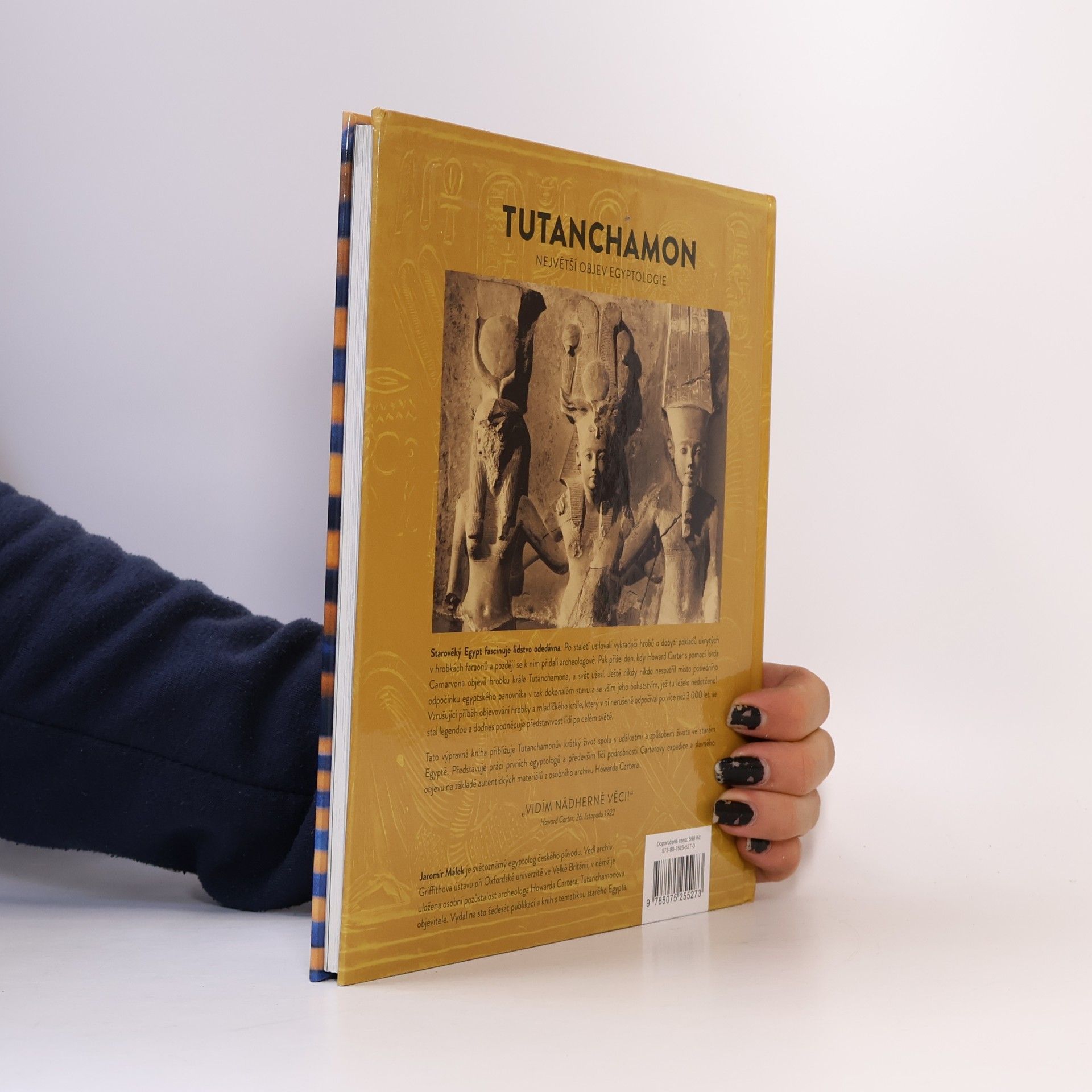 Jaromír Málek Tutanchamon : největší objev egyptologie