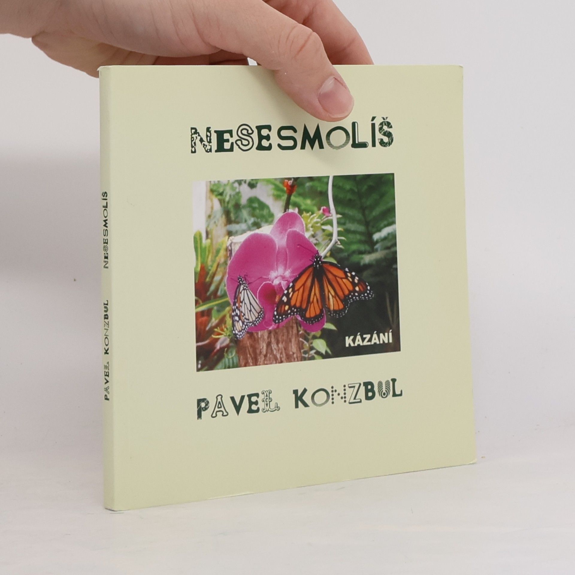 Pavel Konzbul Nesesmolíš