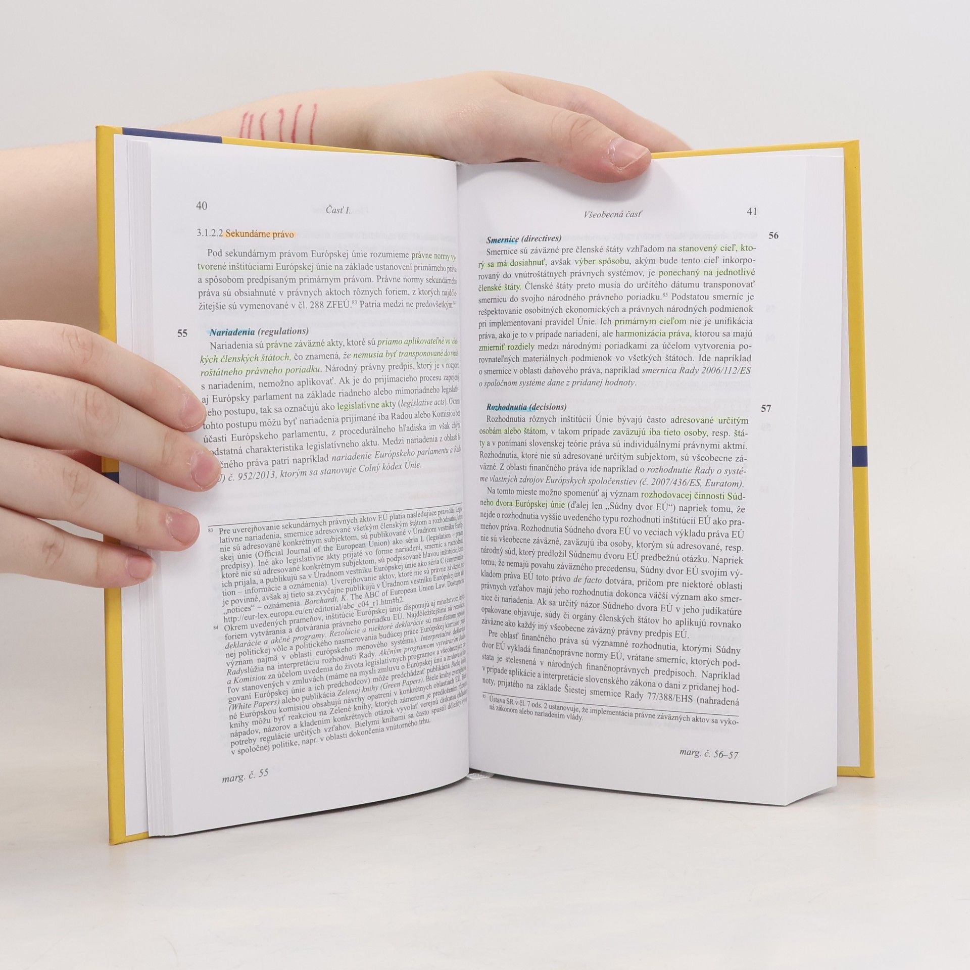 Autorenkollektiv Finančné právo, 2. vydanie