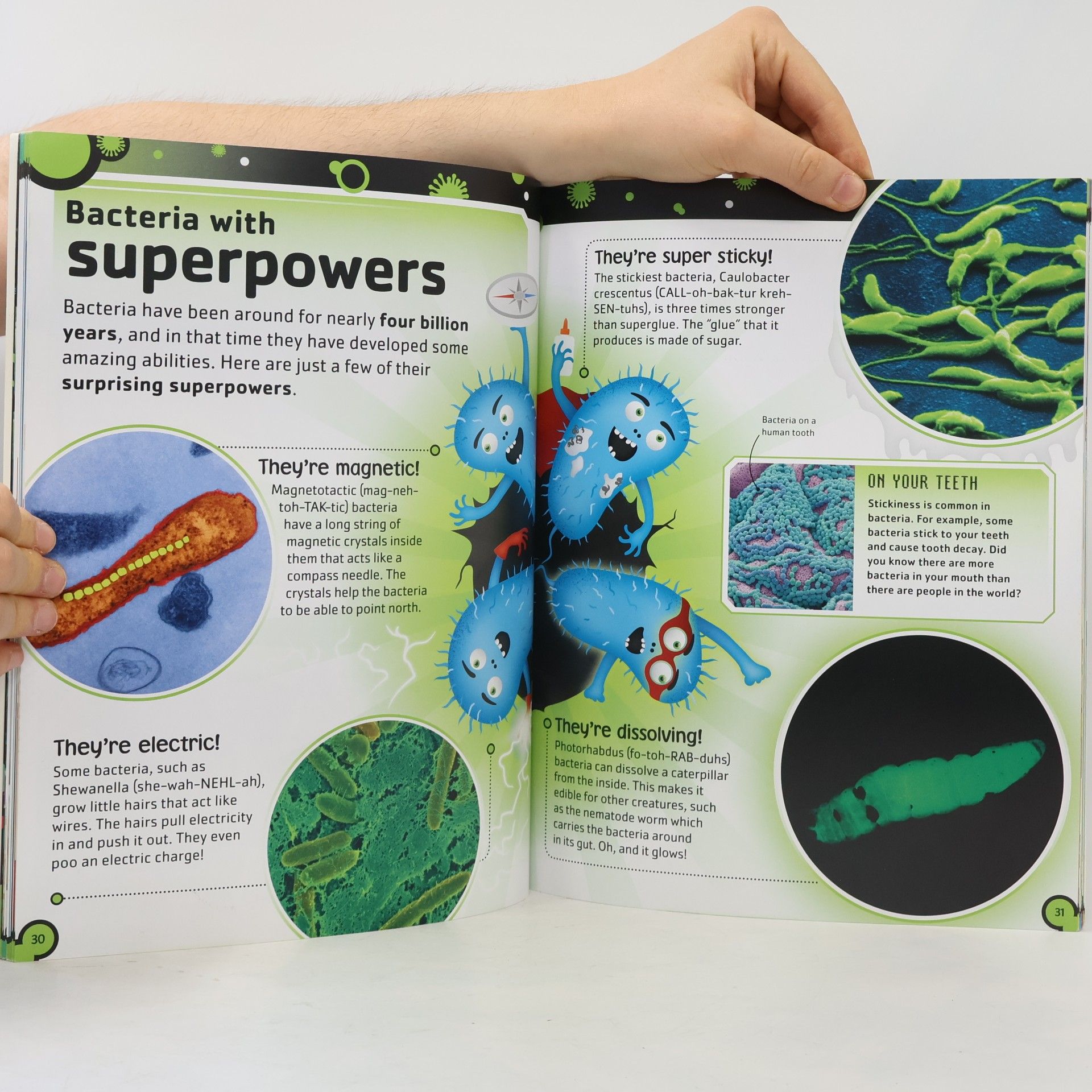 Steve Mould Bacteria Book