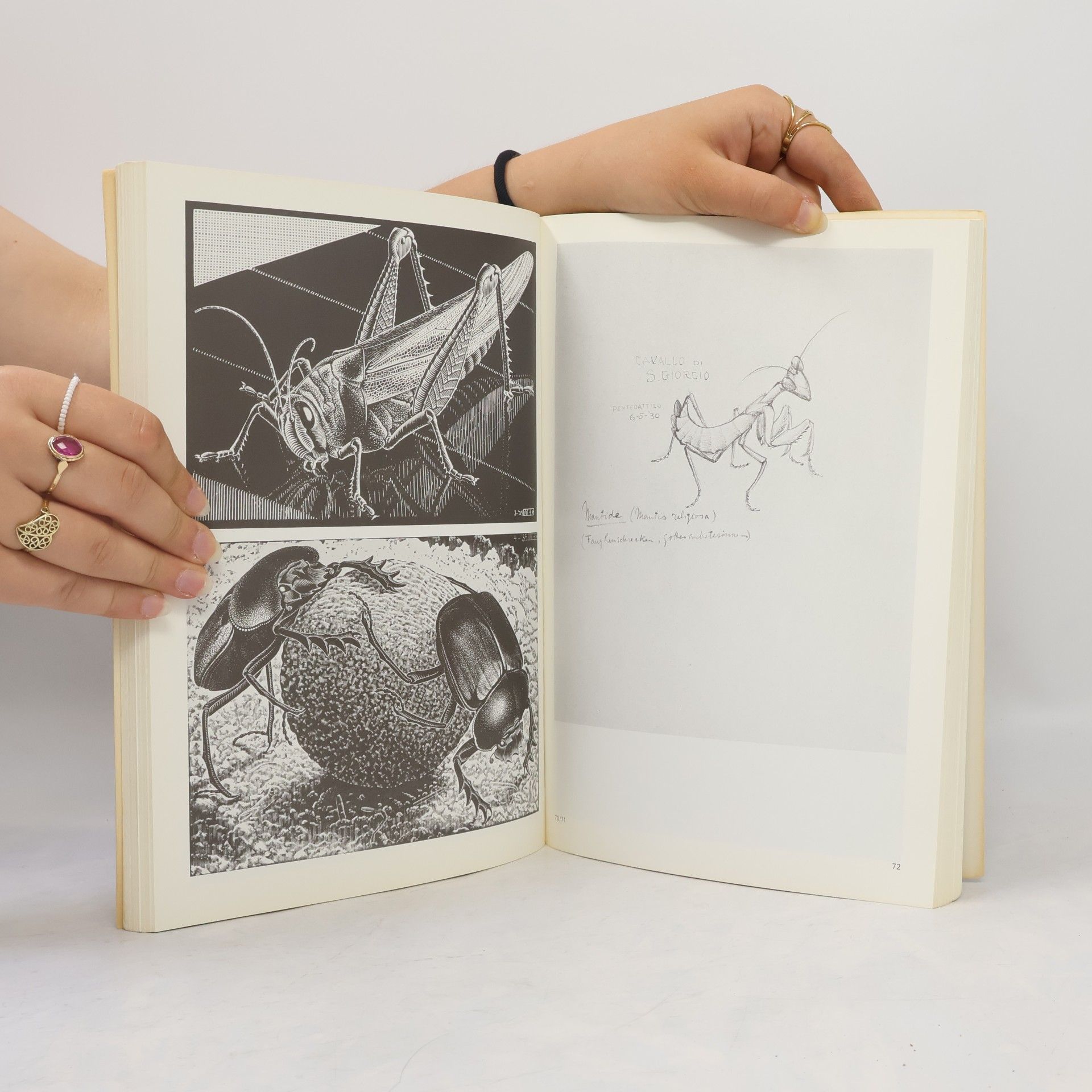 J. L. Locher De werelden van M.C. Escher