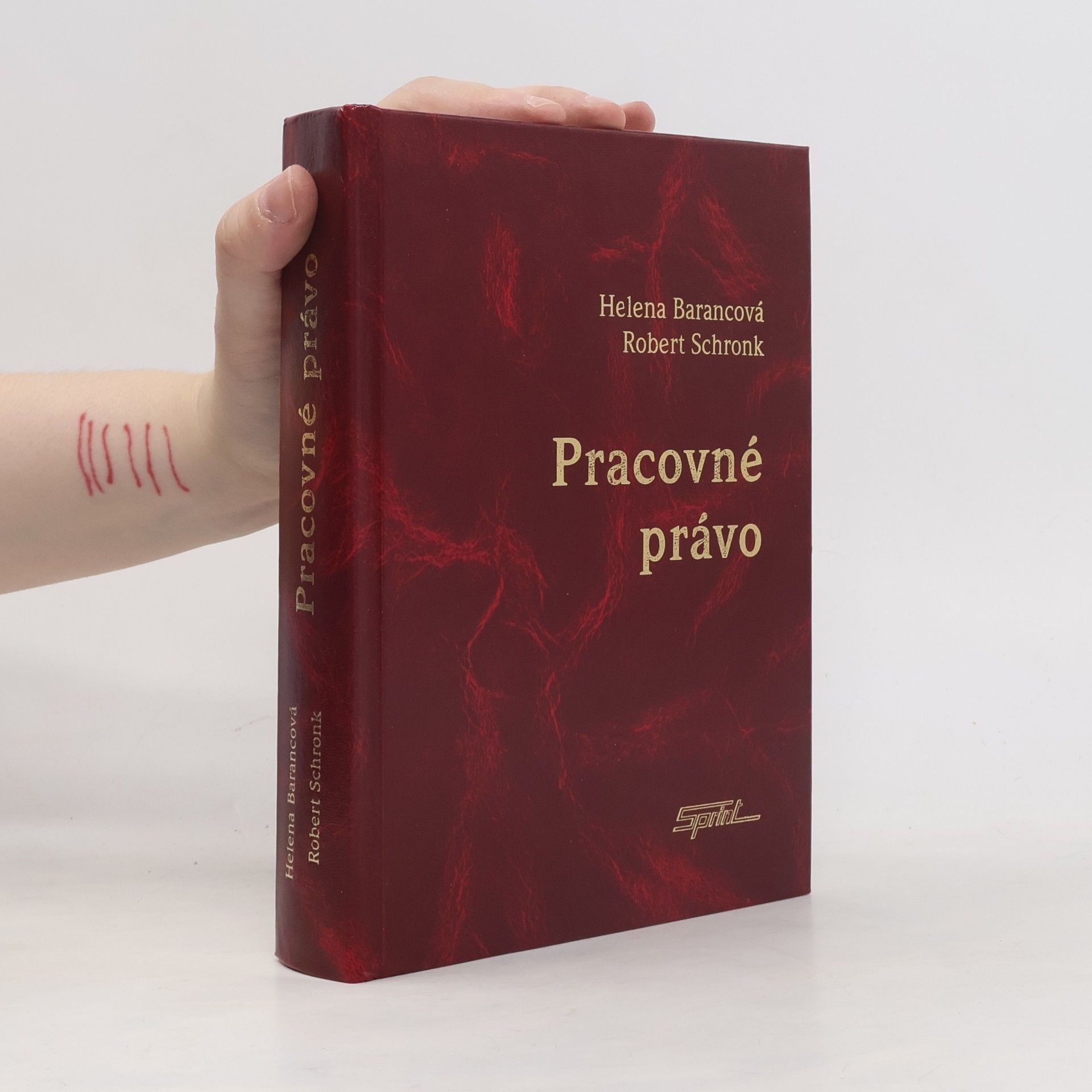 Helena Barancová Pracovné právo