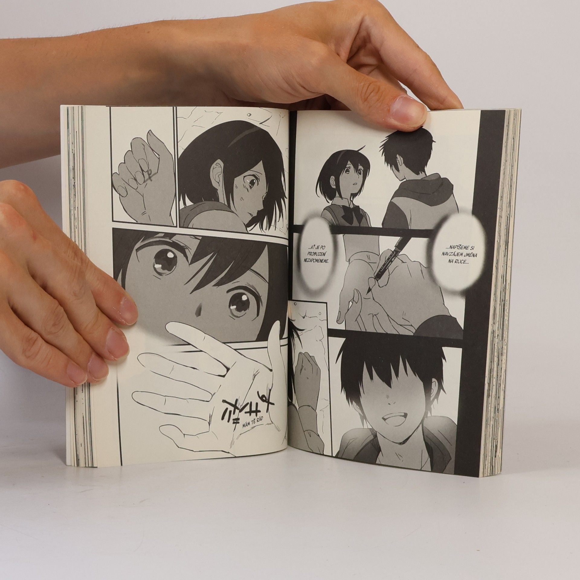 Makoto Shinkai To bylo tvé jméno. 03