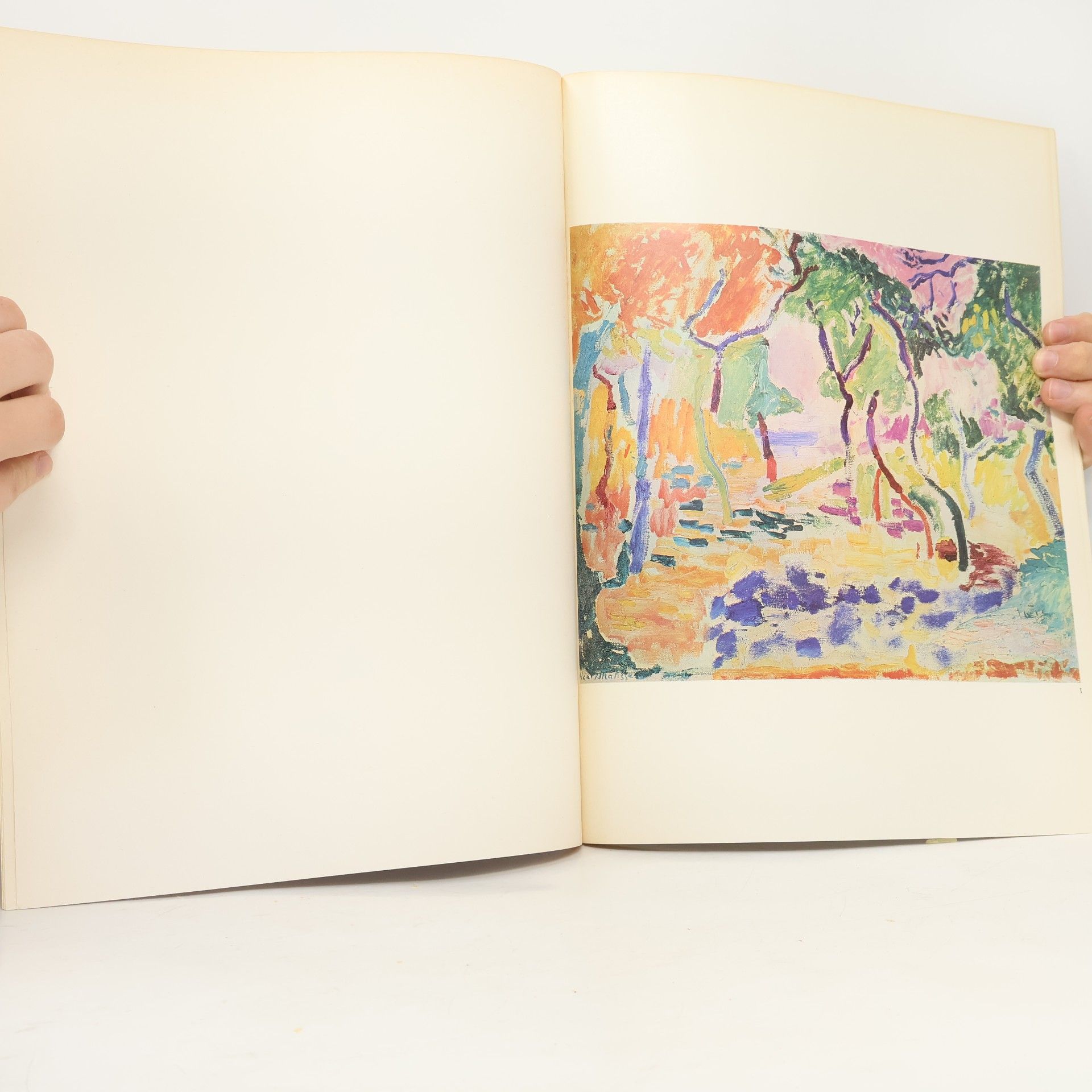 Autorenkollektiv Meesters der Schilderkunst. Matisse