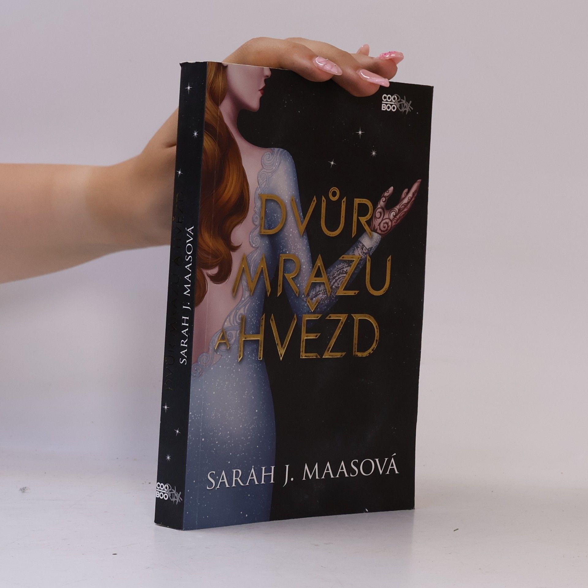Sarah J. Maas Dvůr mrazu a hvězd