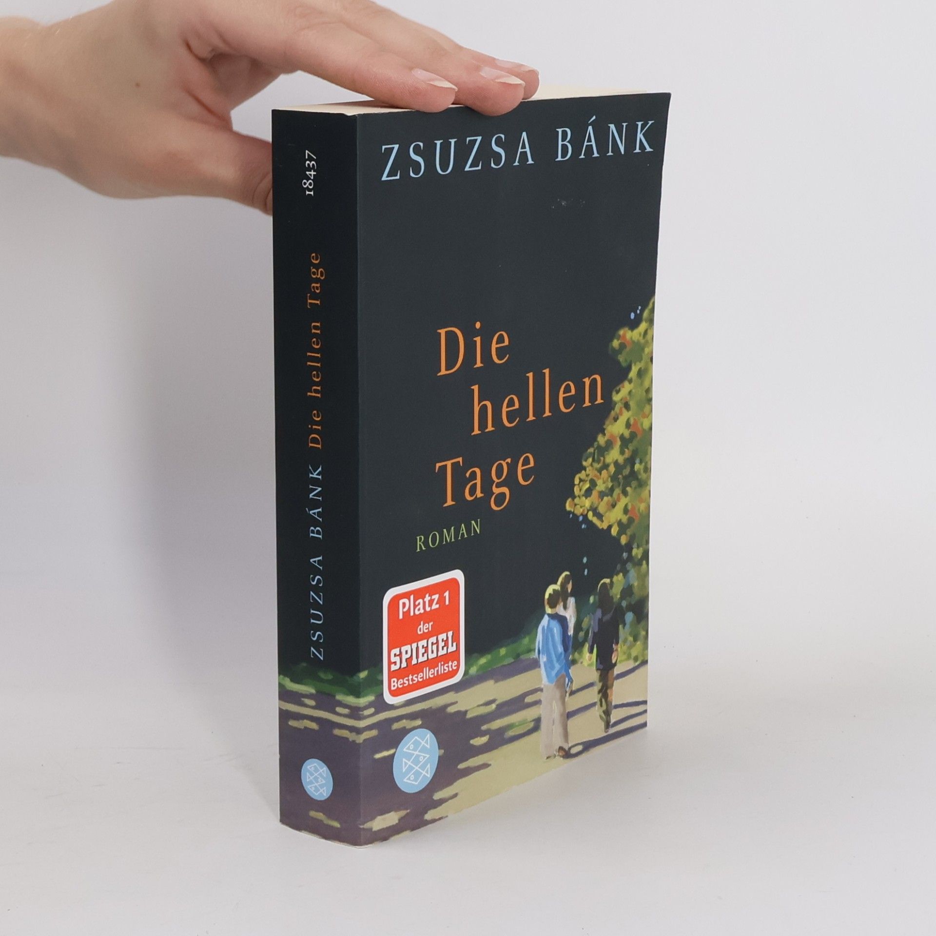 Zsuzsa Bánk Die hellen Tage