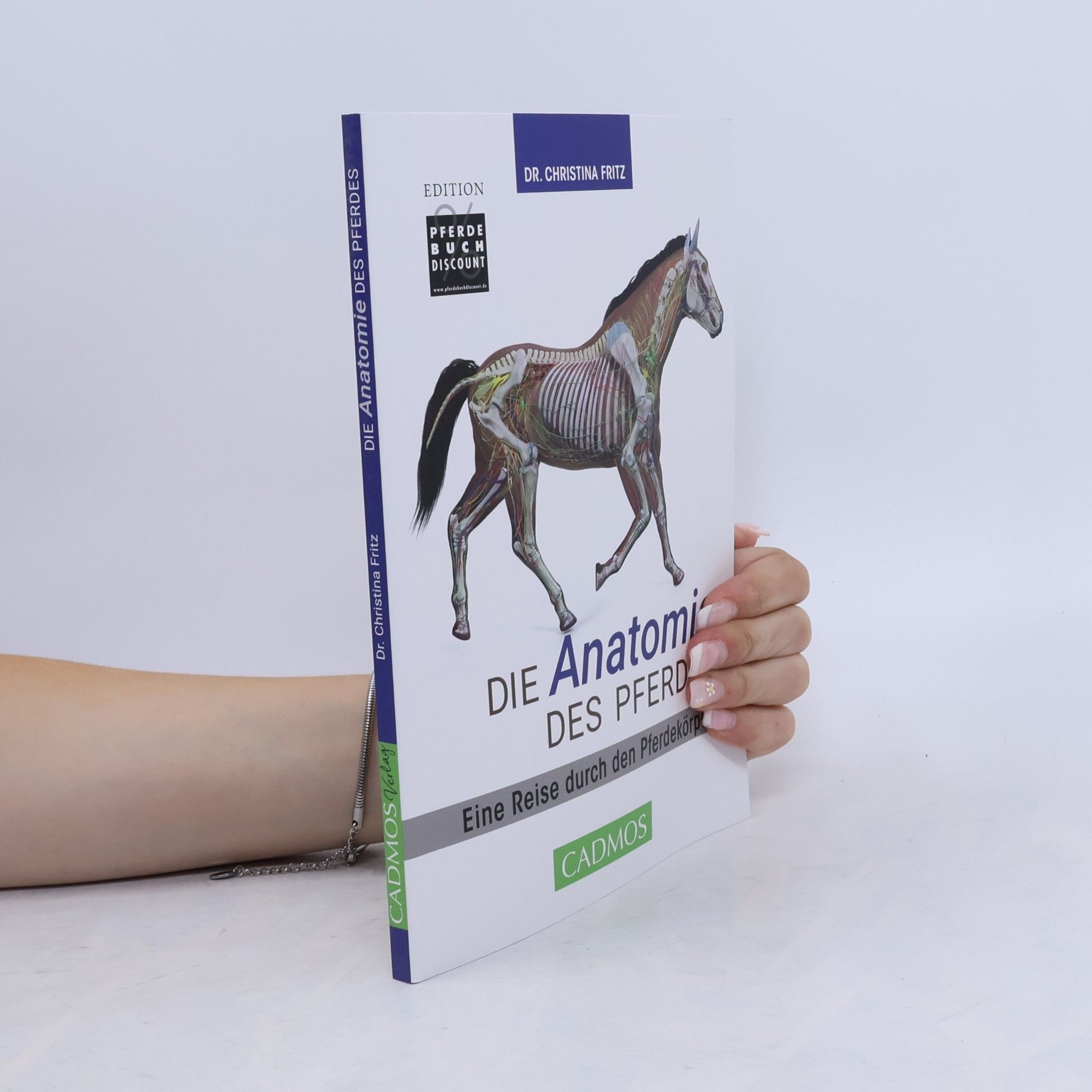 Die Anatomie des Pferdes
