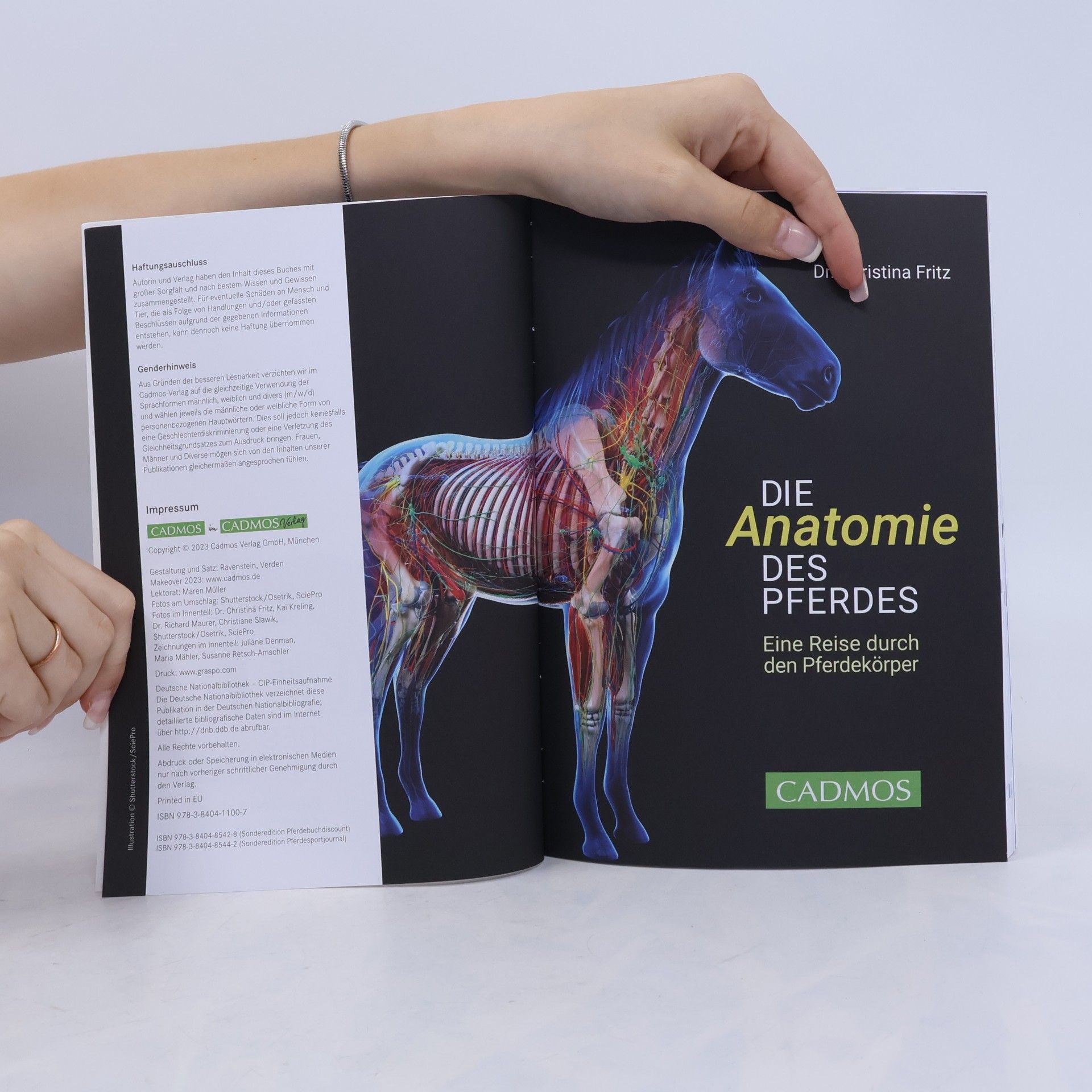 Dr Christina Fritz Die Anatomie des Pferdes