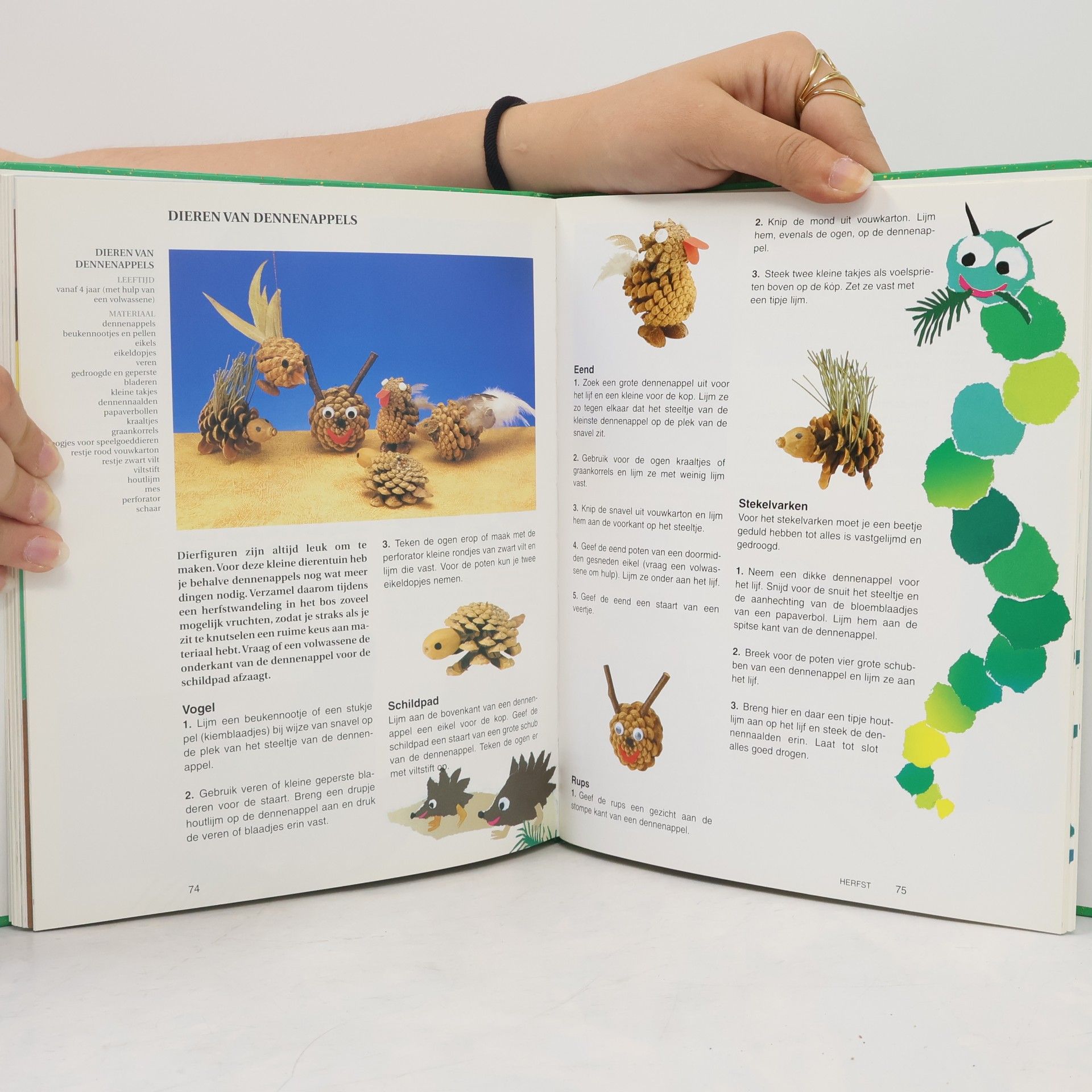 Ursula Barff Groot knutselboek van de natuur