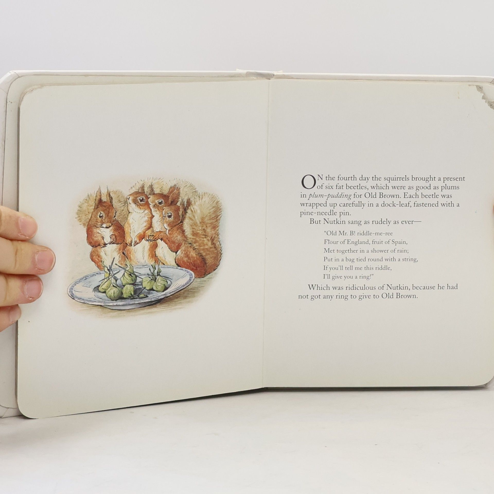 Beatrix Potter The Tale of Squirrel Nutkin