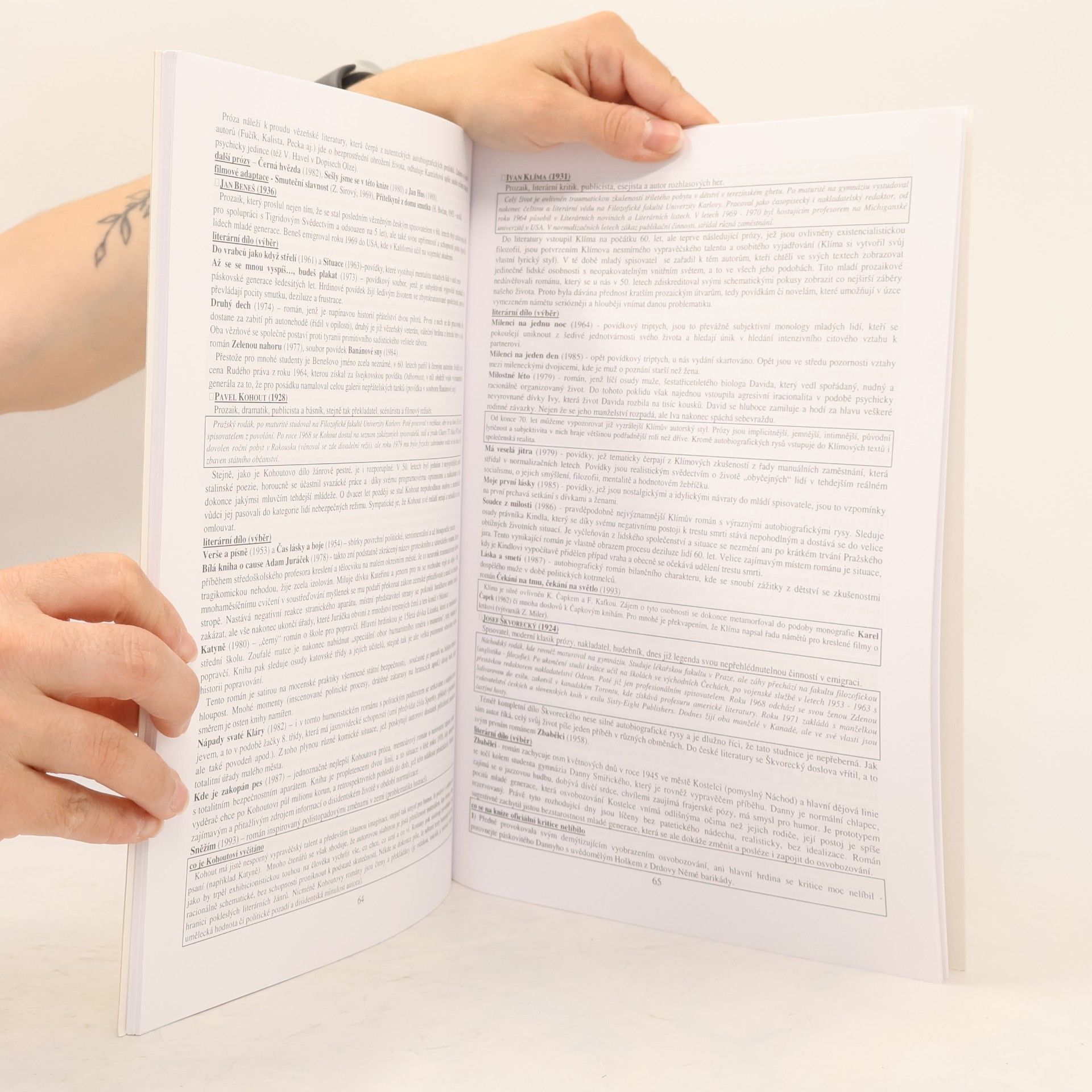 Vladimír Prokop Přehled české literatury 20. století