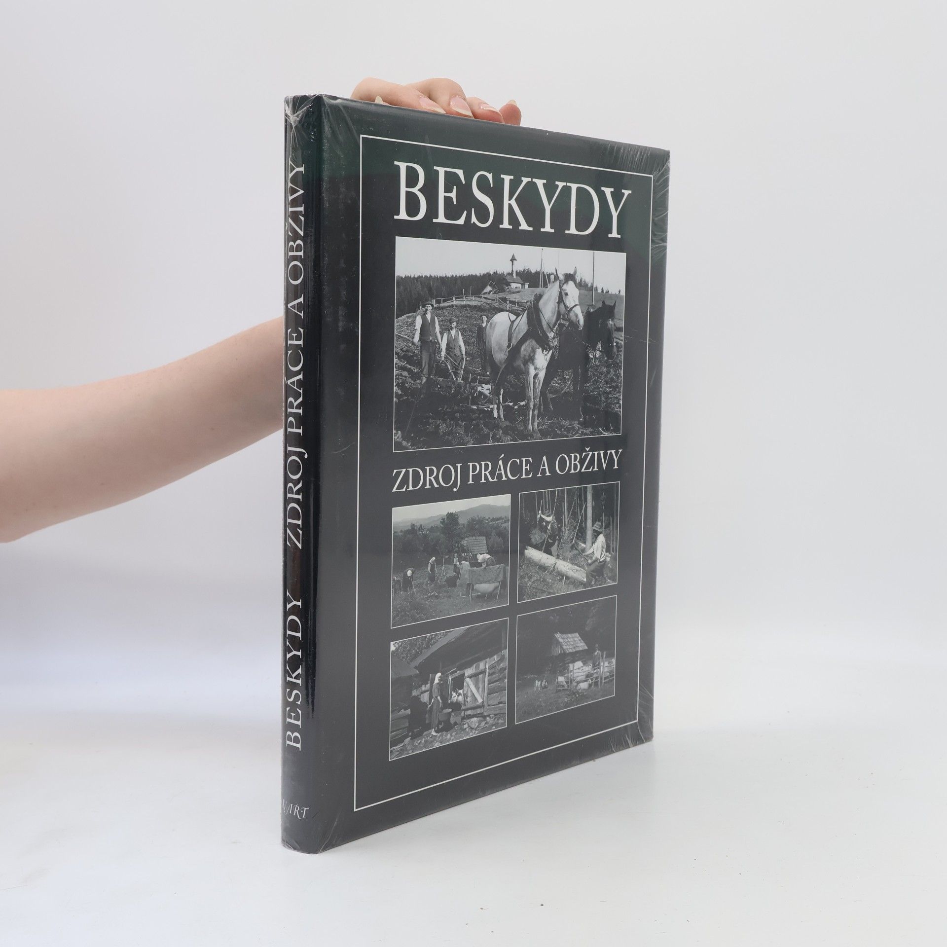 Vojtěch Bajer Beskydy: Zdroj práce a obživy (v originálním obalu)