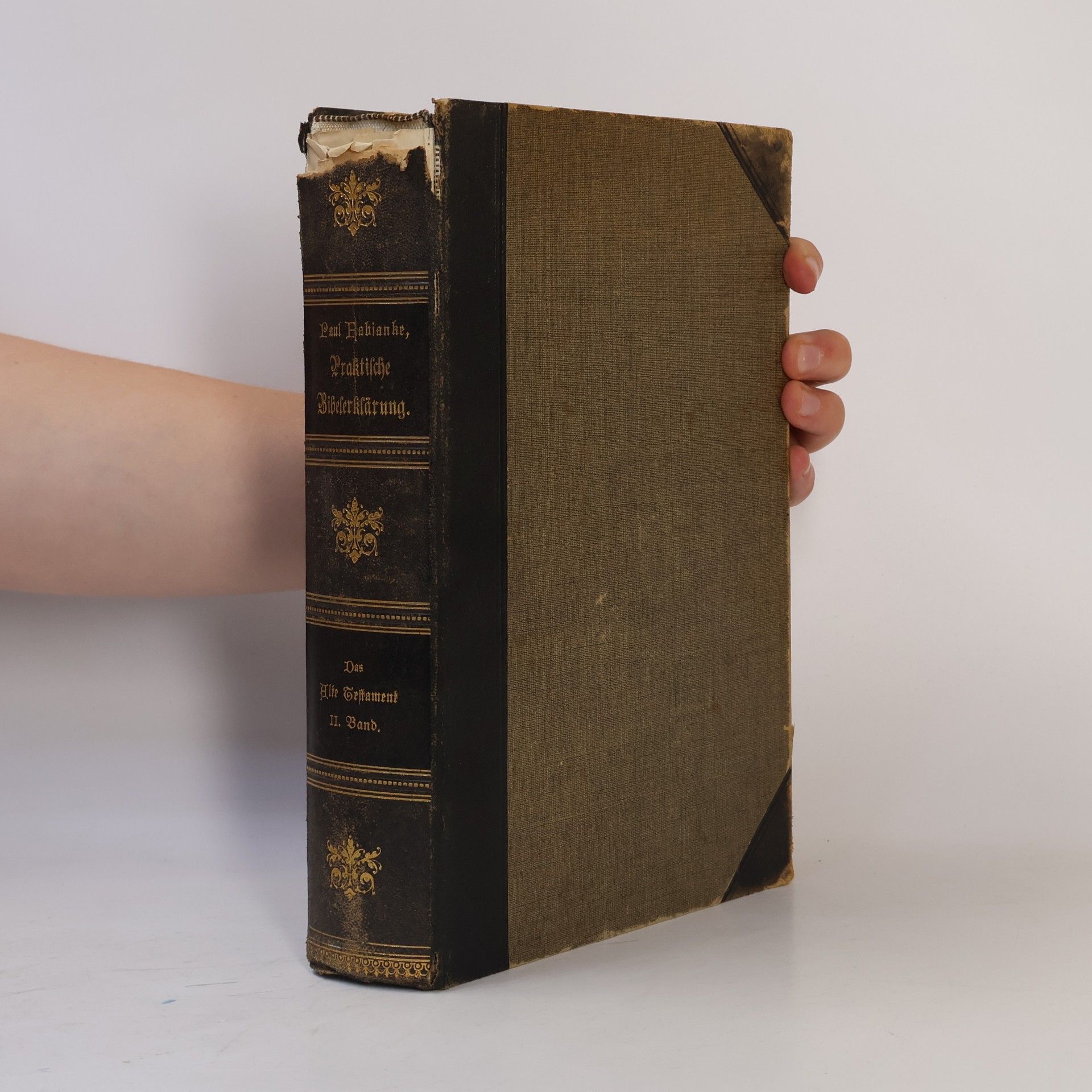 Praktische Bibelerklärung. Teil I, Band 5. Das Buch der Richter. Das Buch Ruth