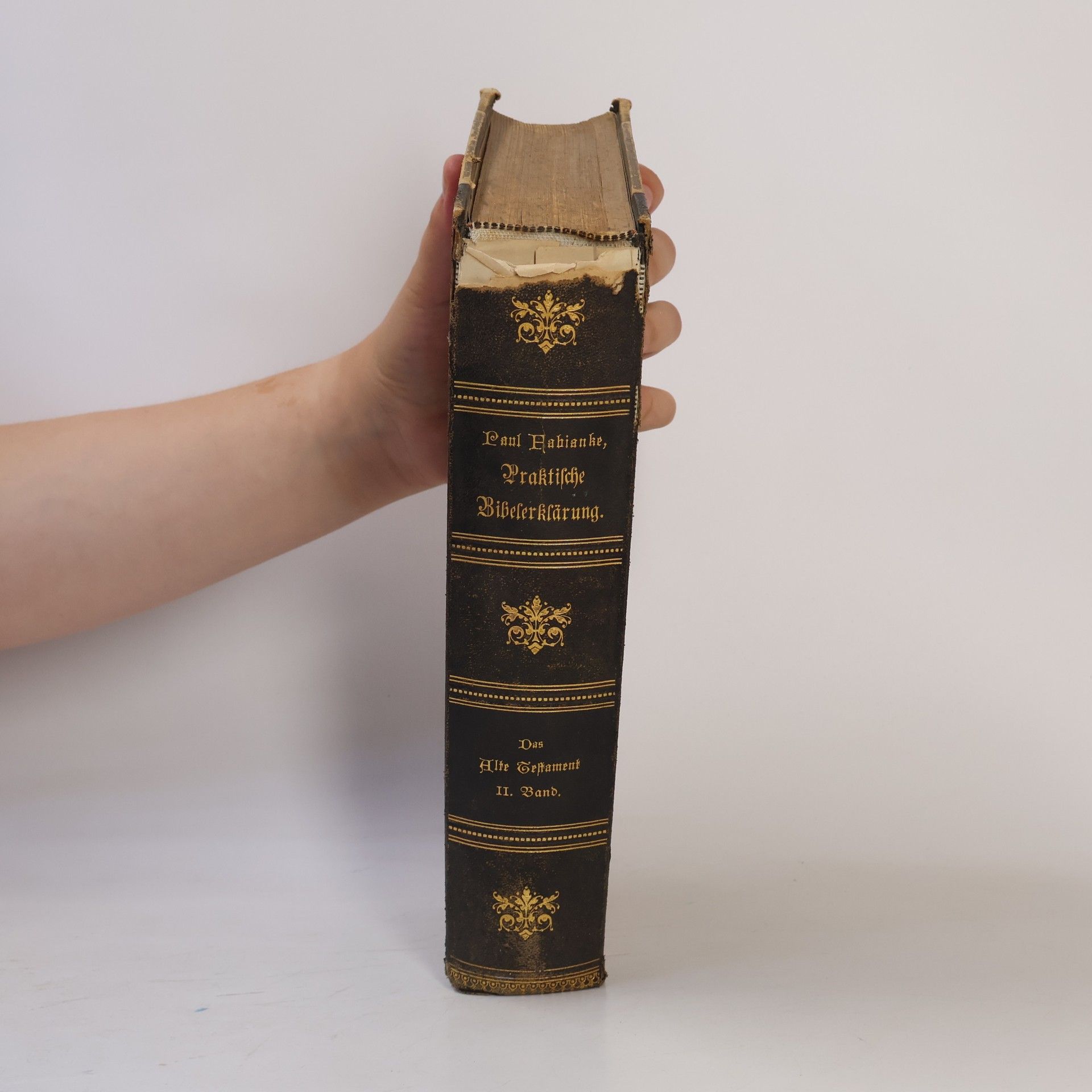 Paul Fabianke Praktische Bibelerklärung. Teil I, Band 5. Das Buch der Richter. Das Buch Ruth